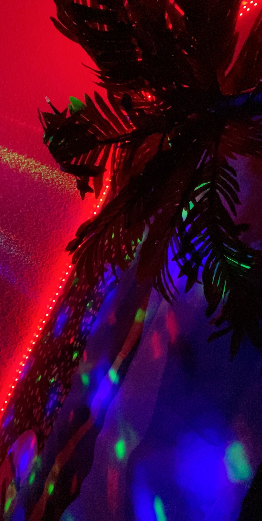 Dakota OnlyFans header