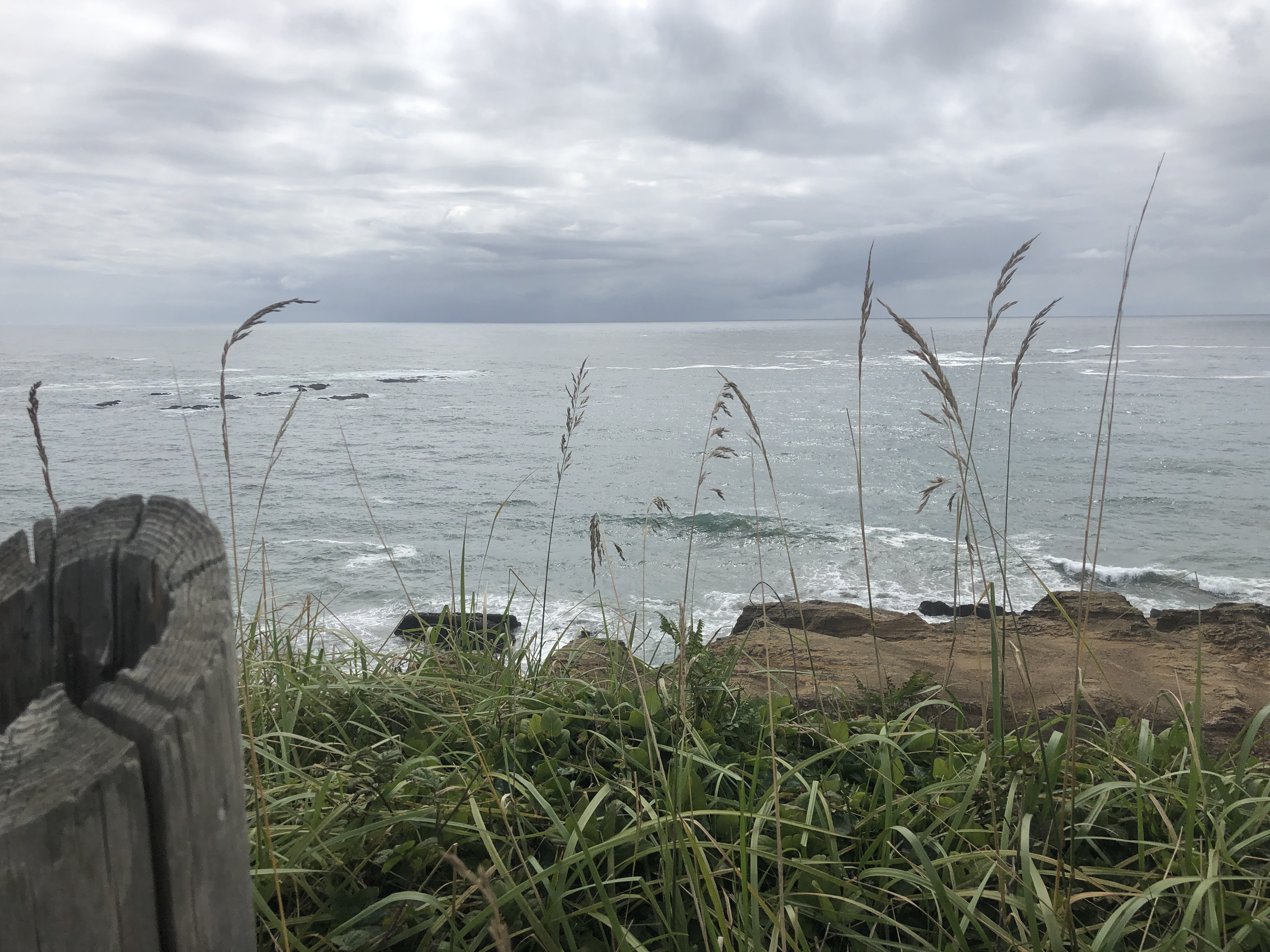 Katie OnlyFans header