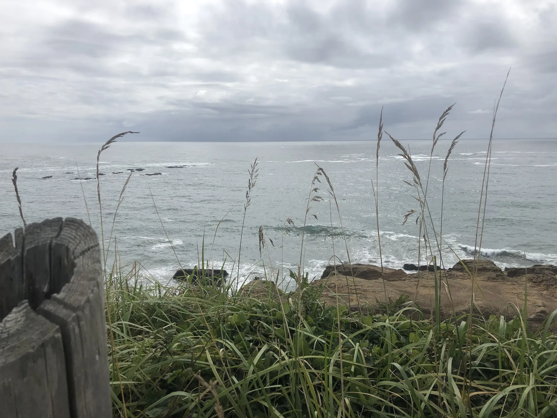 Katie OnlyFans header