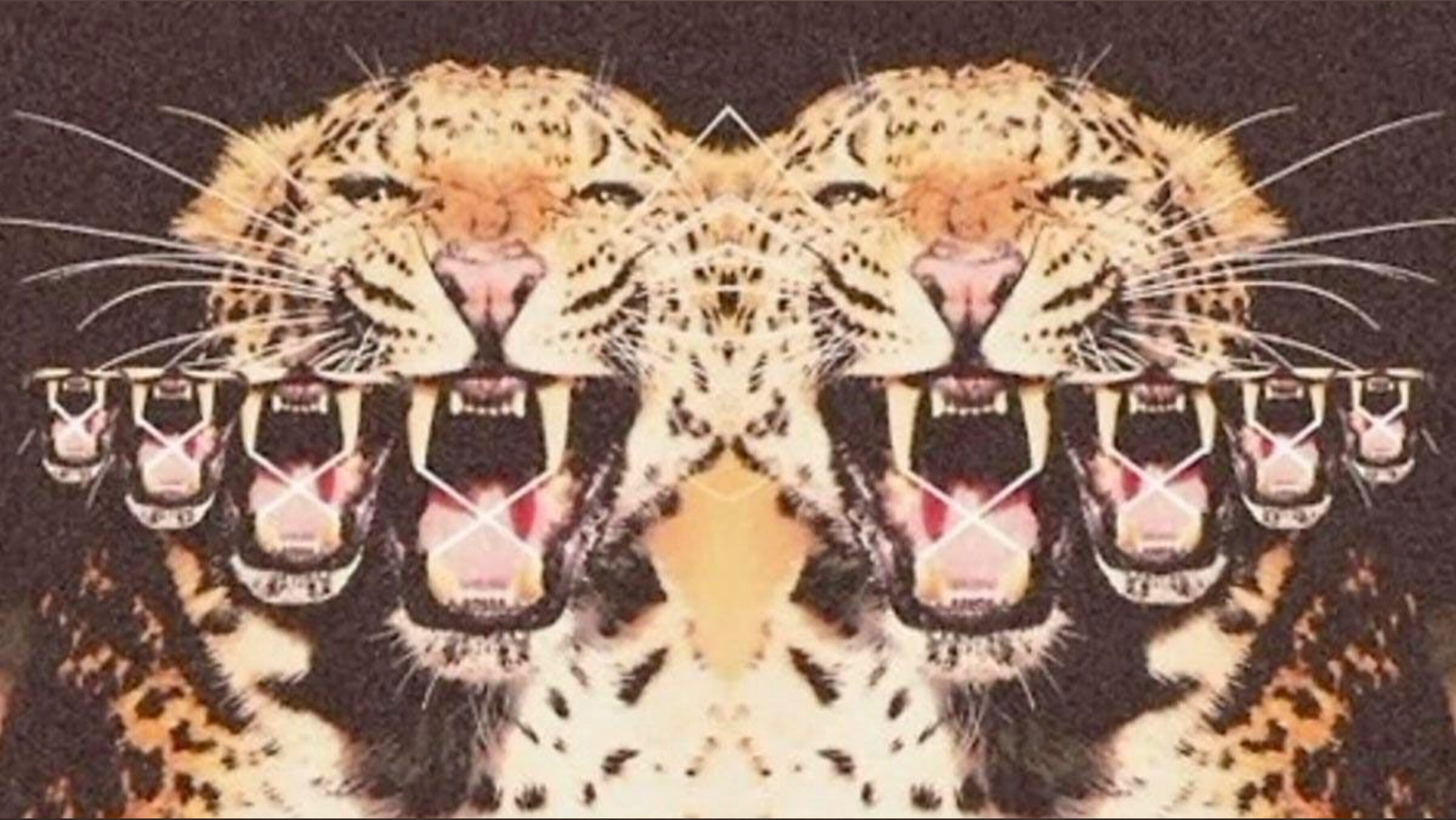 Xoxokelss OnlyFans header