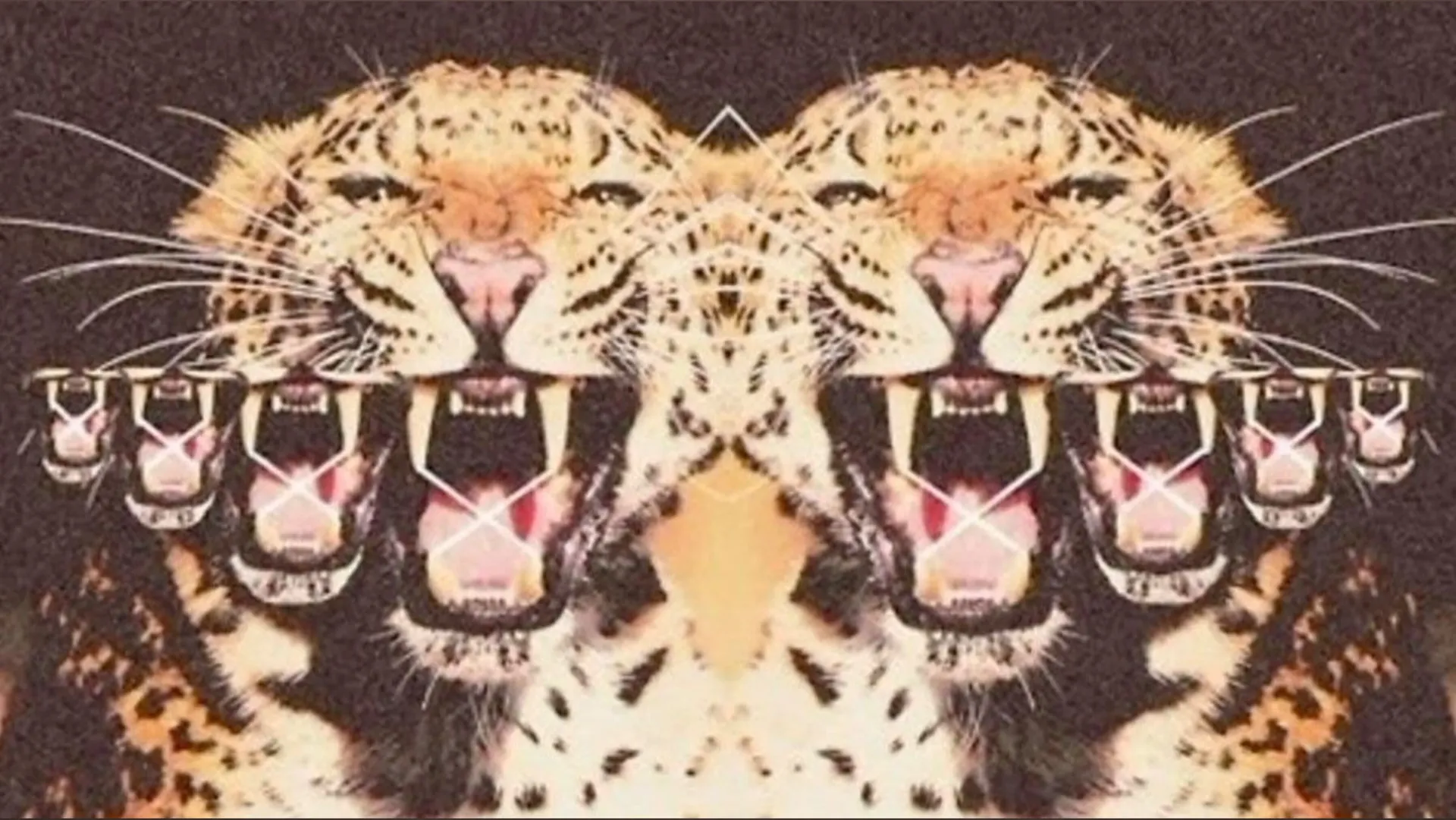 Xoxokelss OnlyFans header