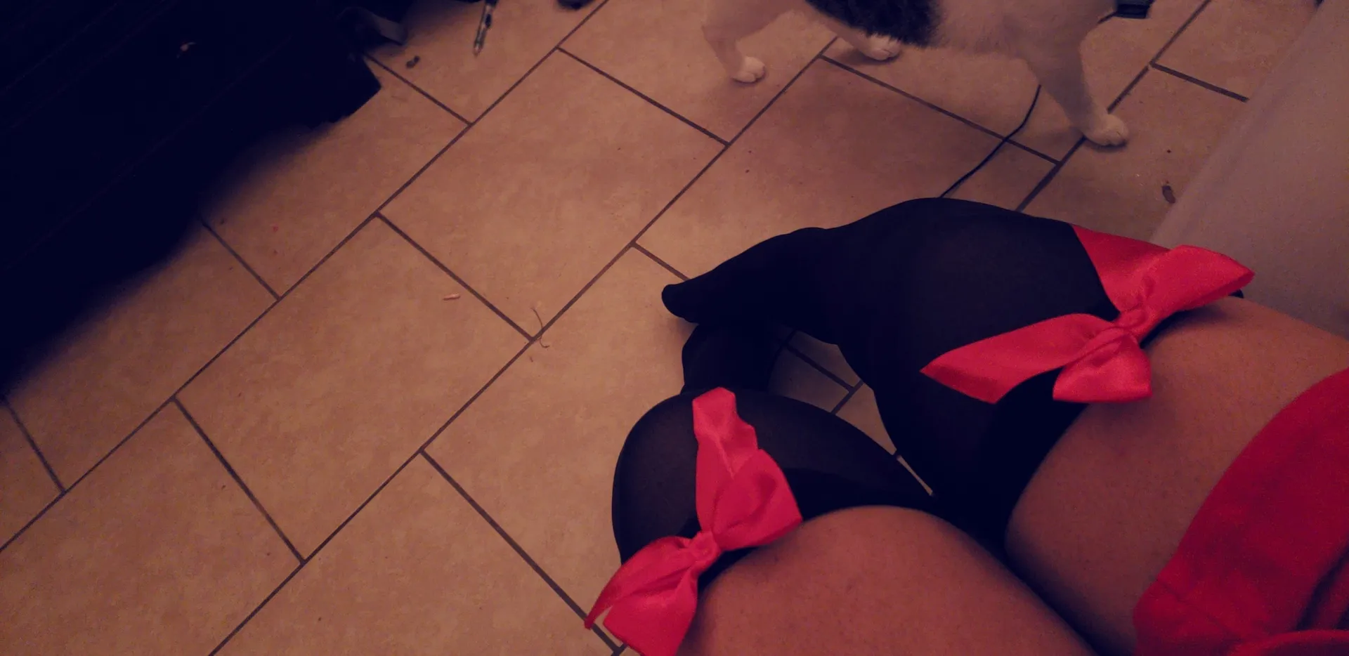 Kitty OnlyFans header