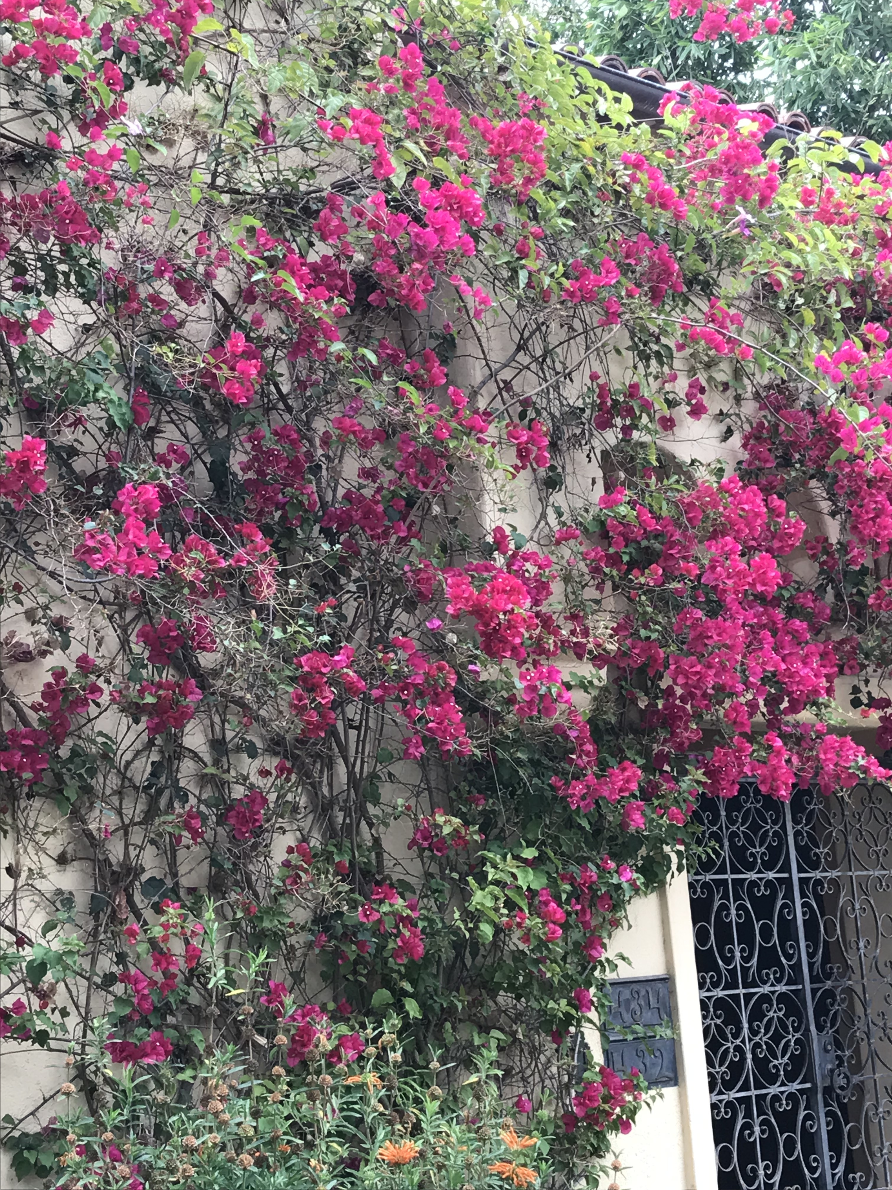 Lennon OnlyFans header