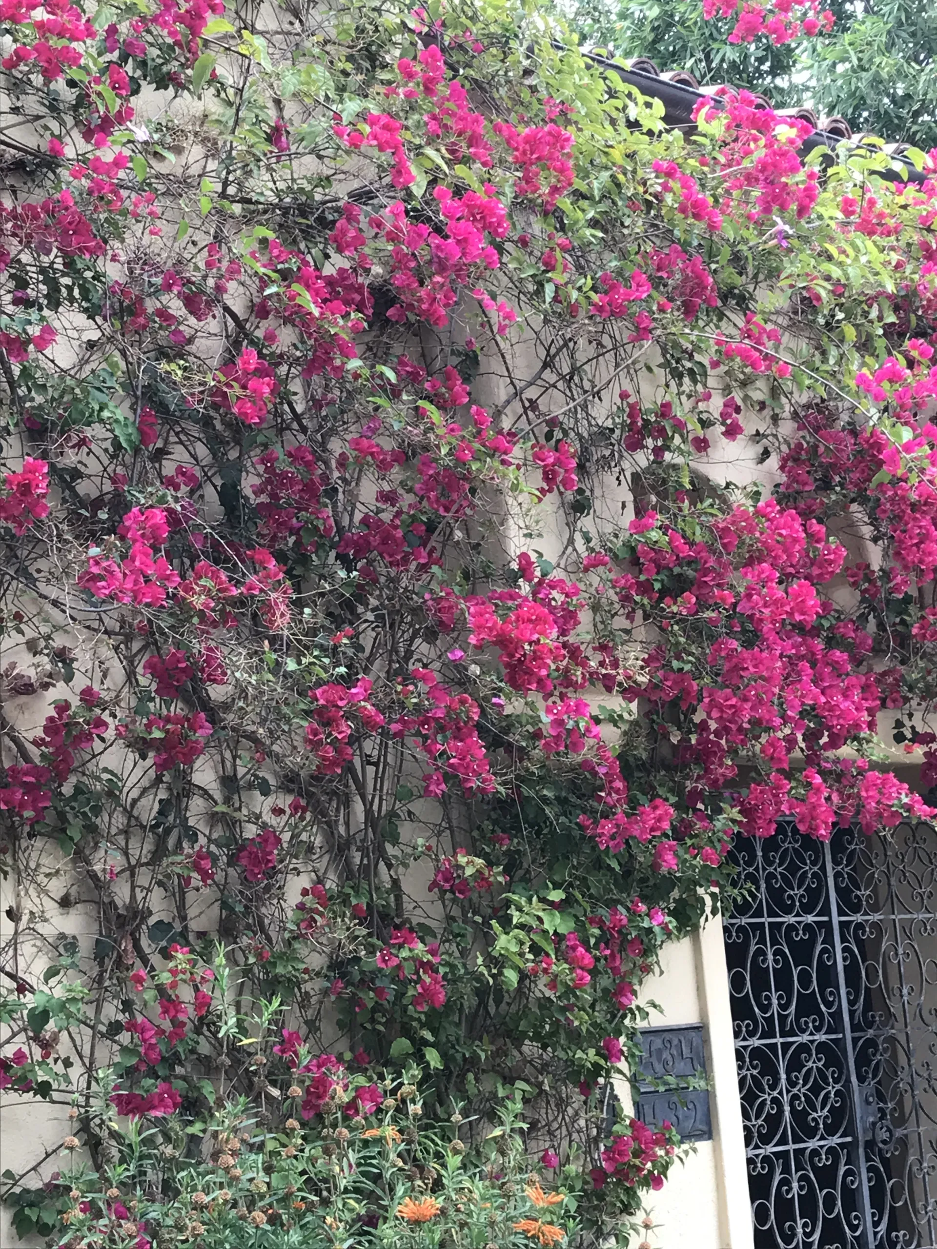 Lennon OnlyFans header