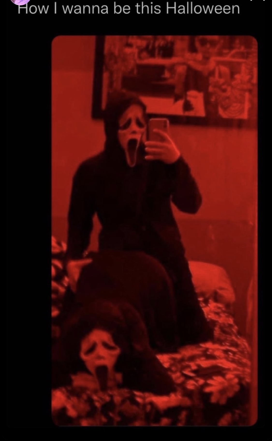 Lexi OnlyFans header