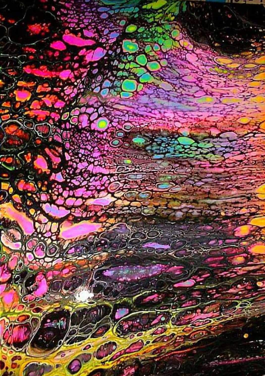 XoXOliviaFox OnlyFans header