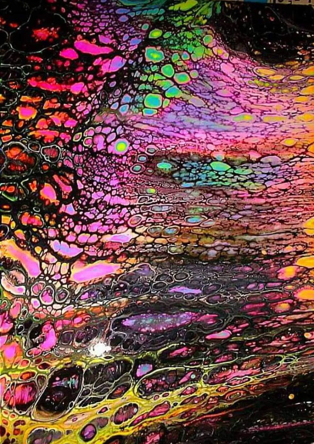 XoXOliviaFox OnlyFans header