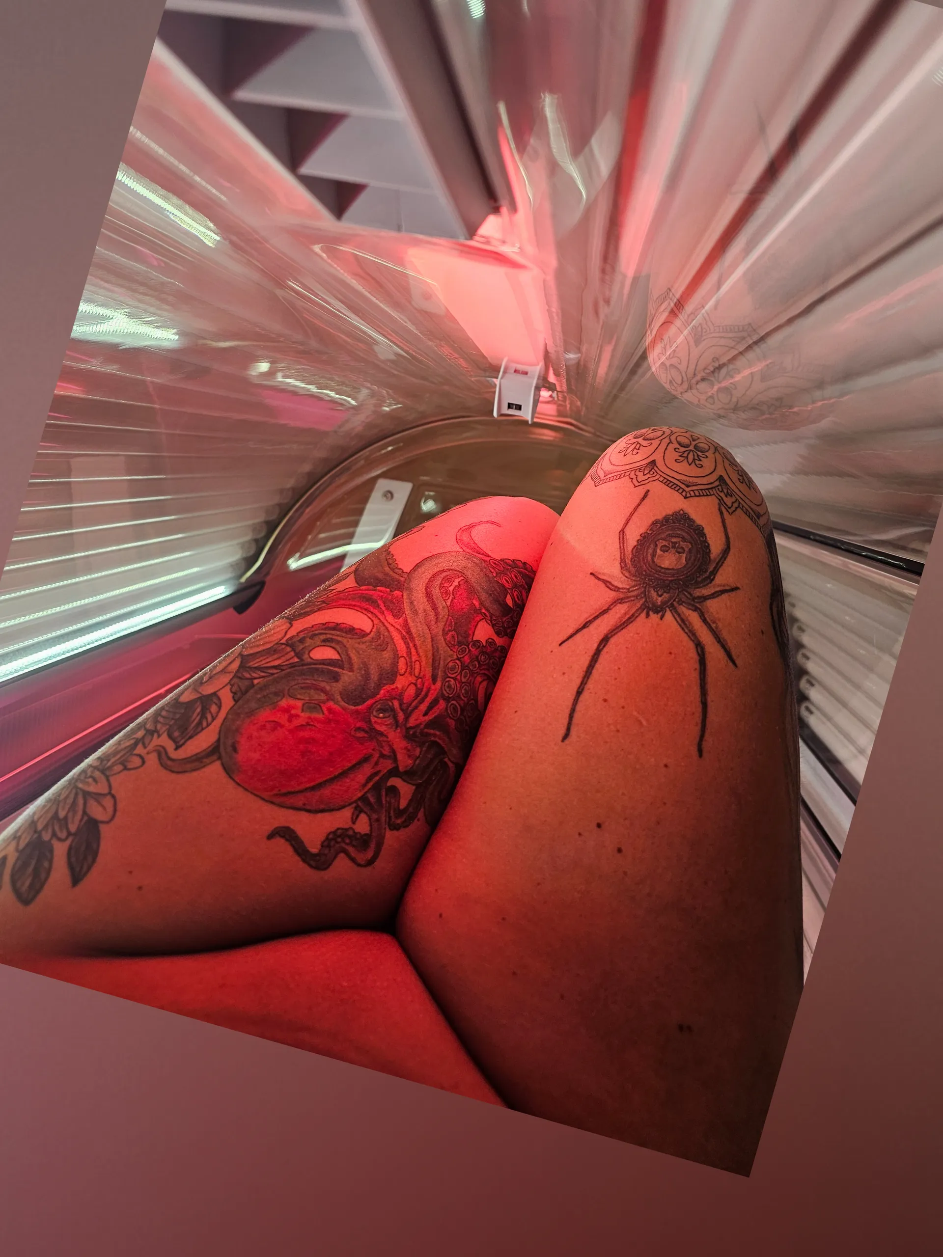 Kendall Rose OnlyFans header