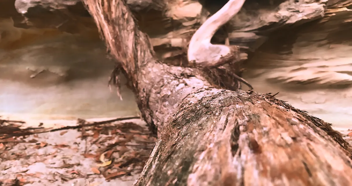 Naomi Murphy OnlyFans header