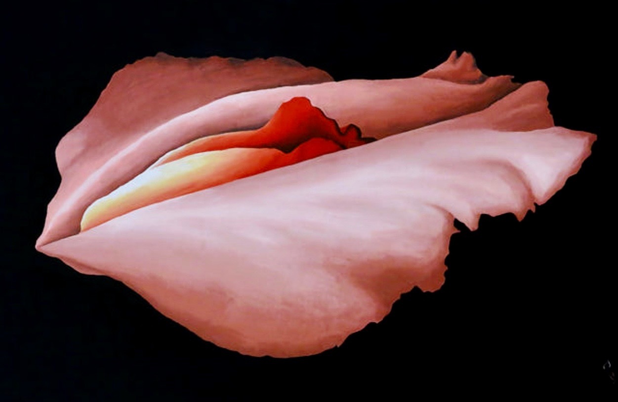 🌼 Uhlissa 🌸 OnlyFans header