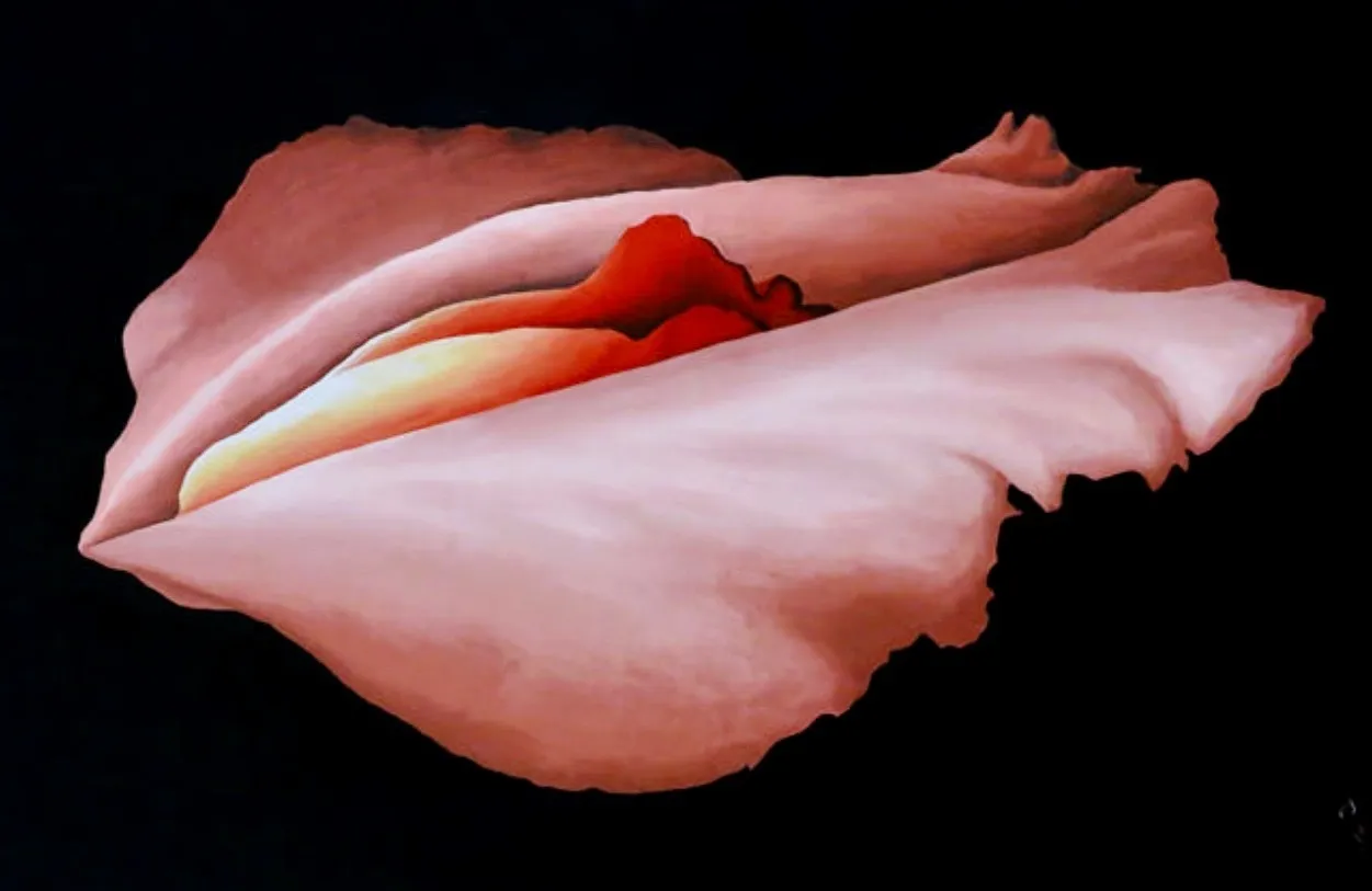 🌼 Uhlissa 🌸 OnlyFans header