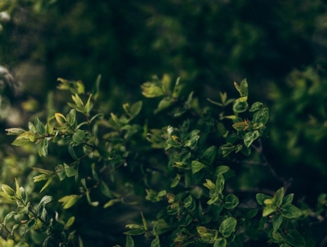 Sabrina OnlyFans header