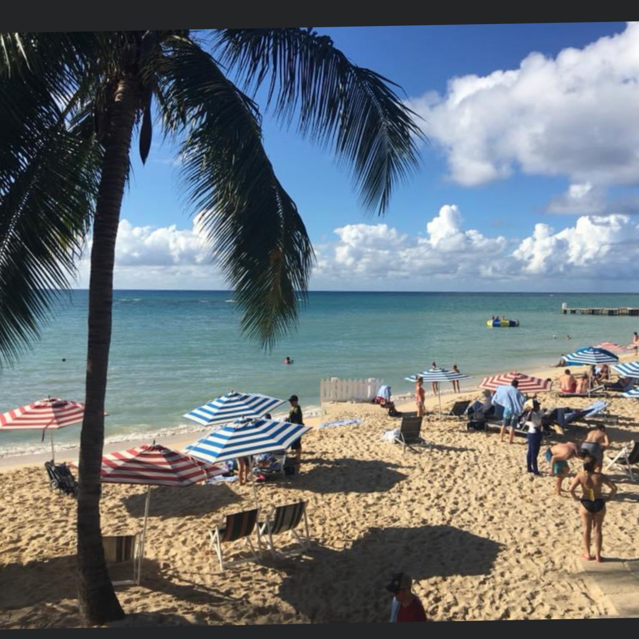 Shay OnlyFans header