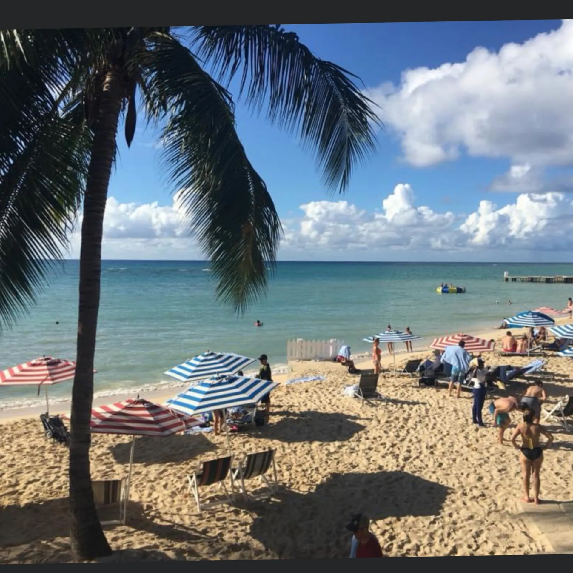 Shay OnlyFans header