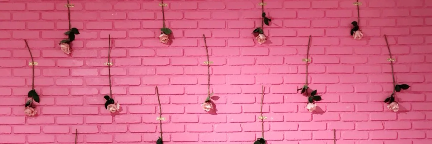 🤸🏻‍♀️ OnlyFans header