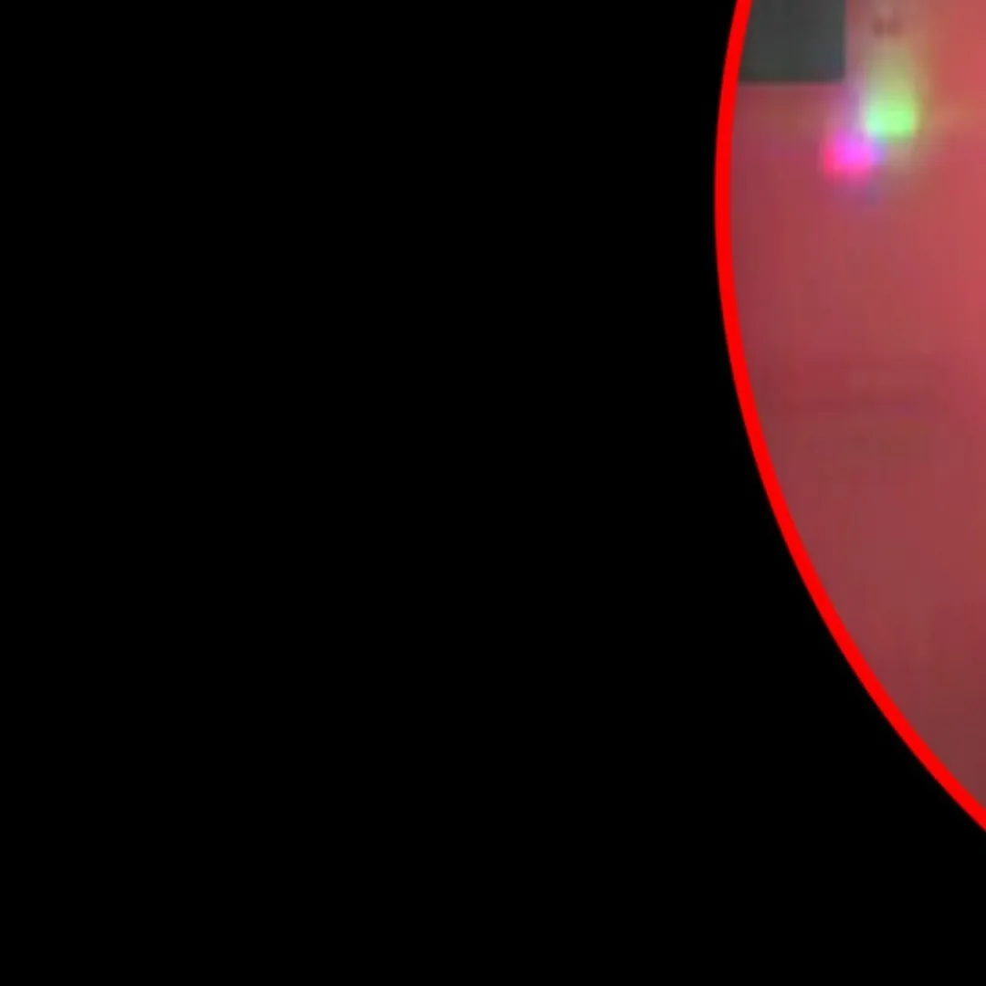 xoxoWtf OnlyFans header