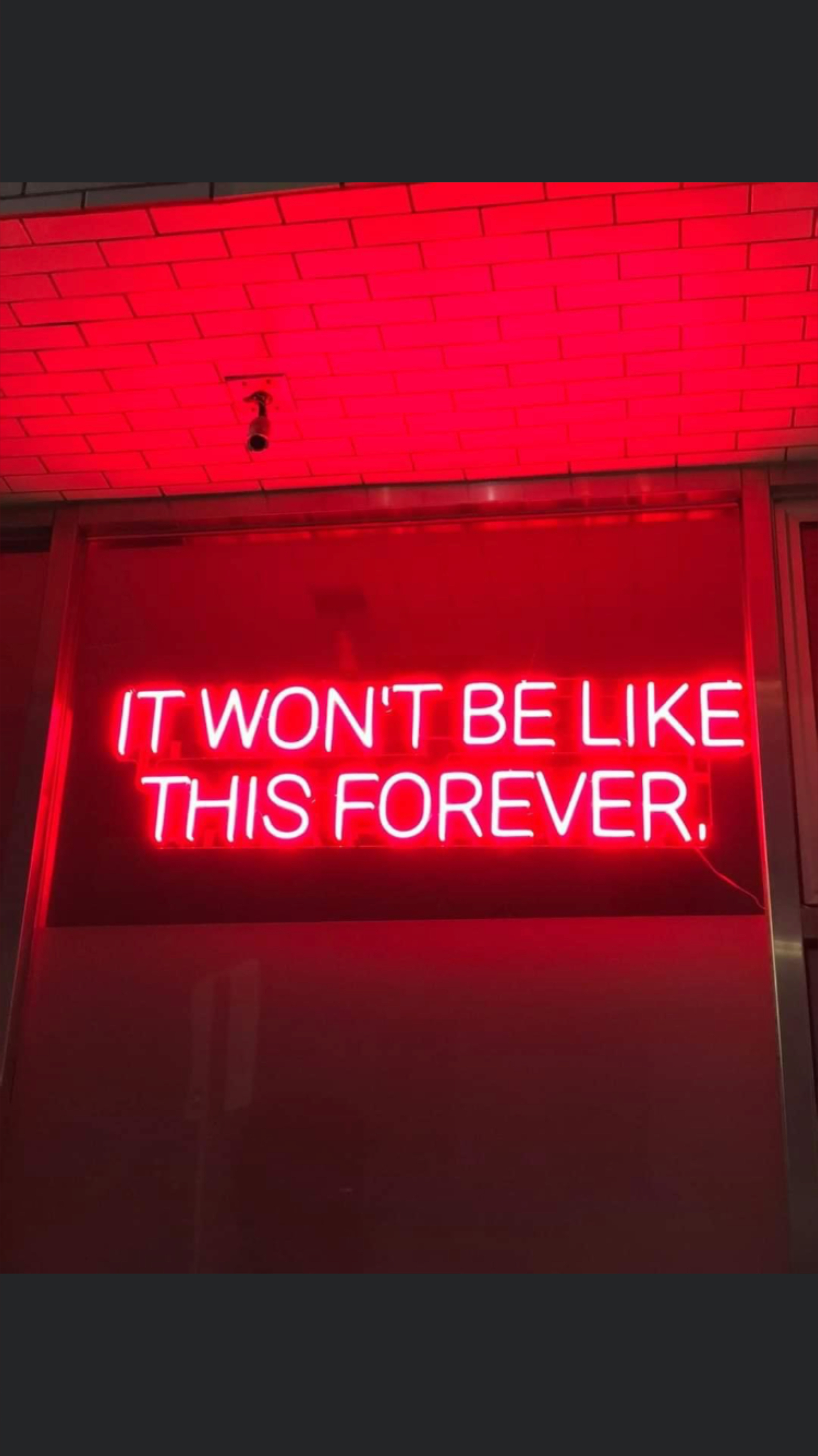 Zuri OnlyFans header