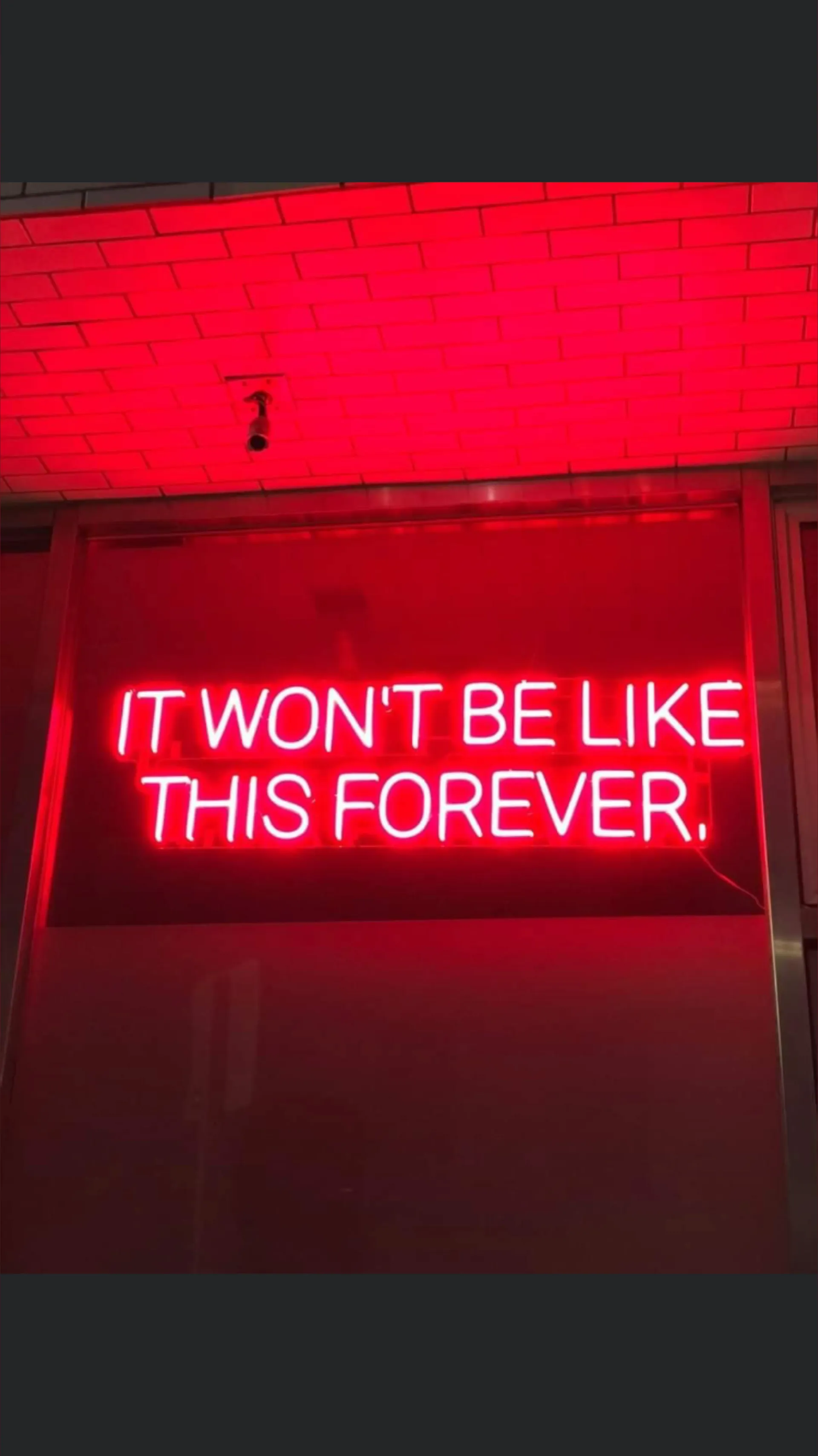 Zuri OnlyFans header