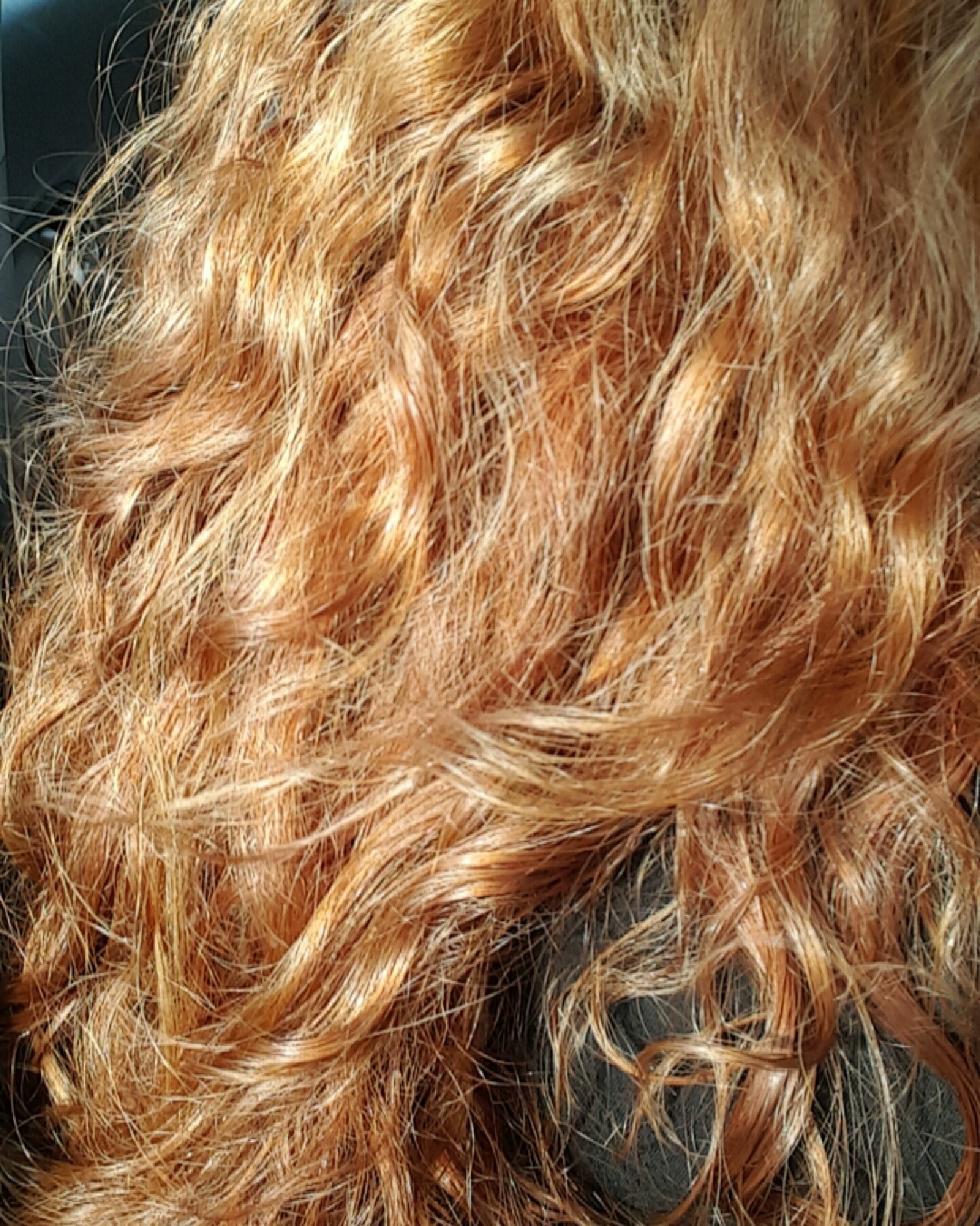 Ginger Kitty OnlyFans header