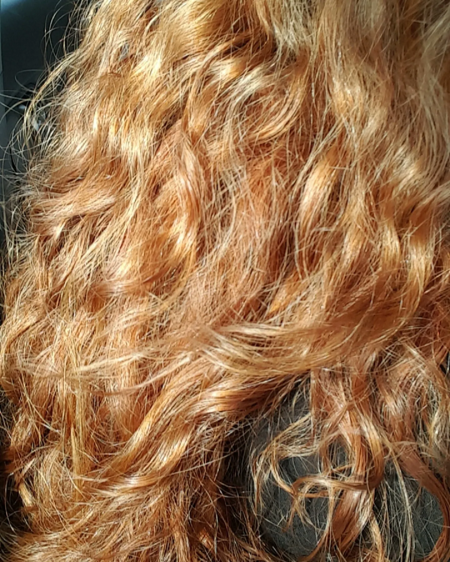 Ginger Kitty OnlyFans header