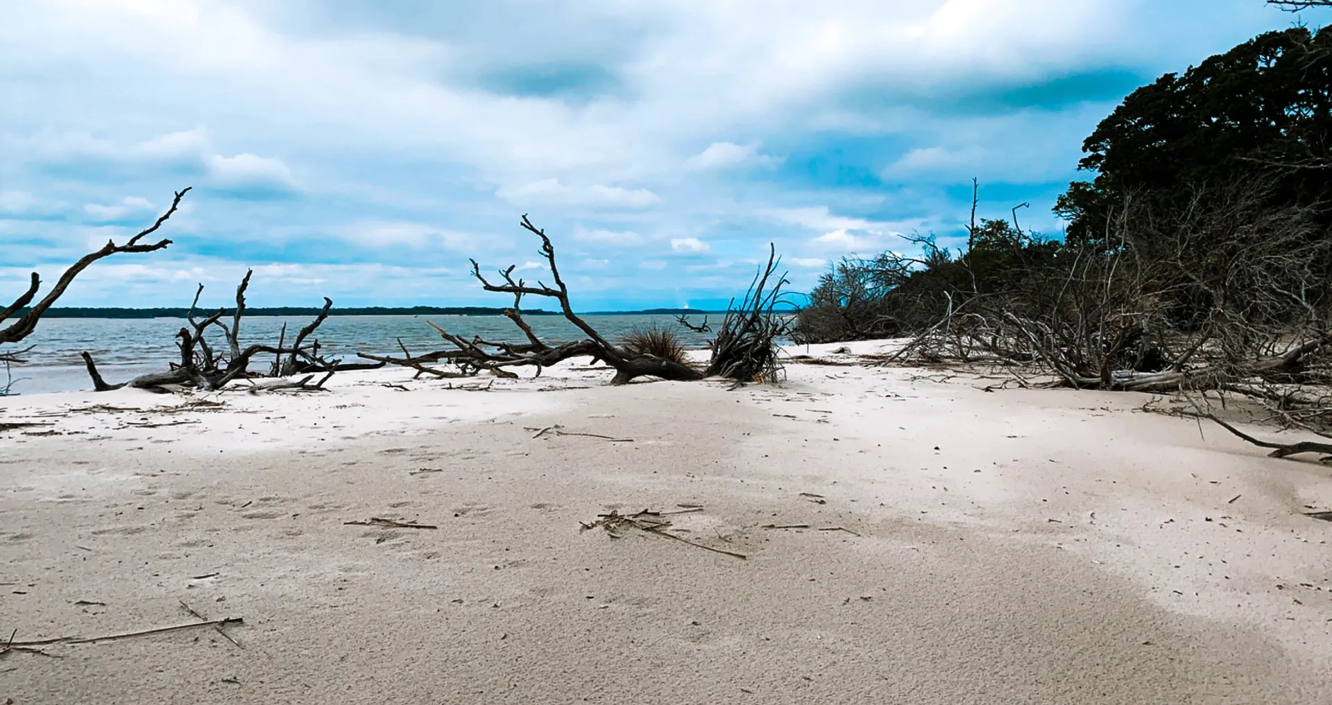 Peachy Mom OnlyFans header