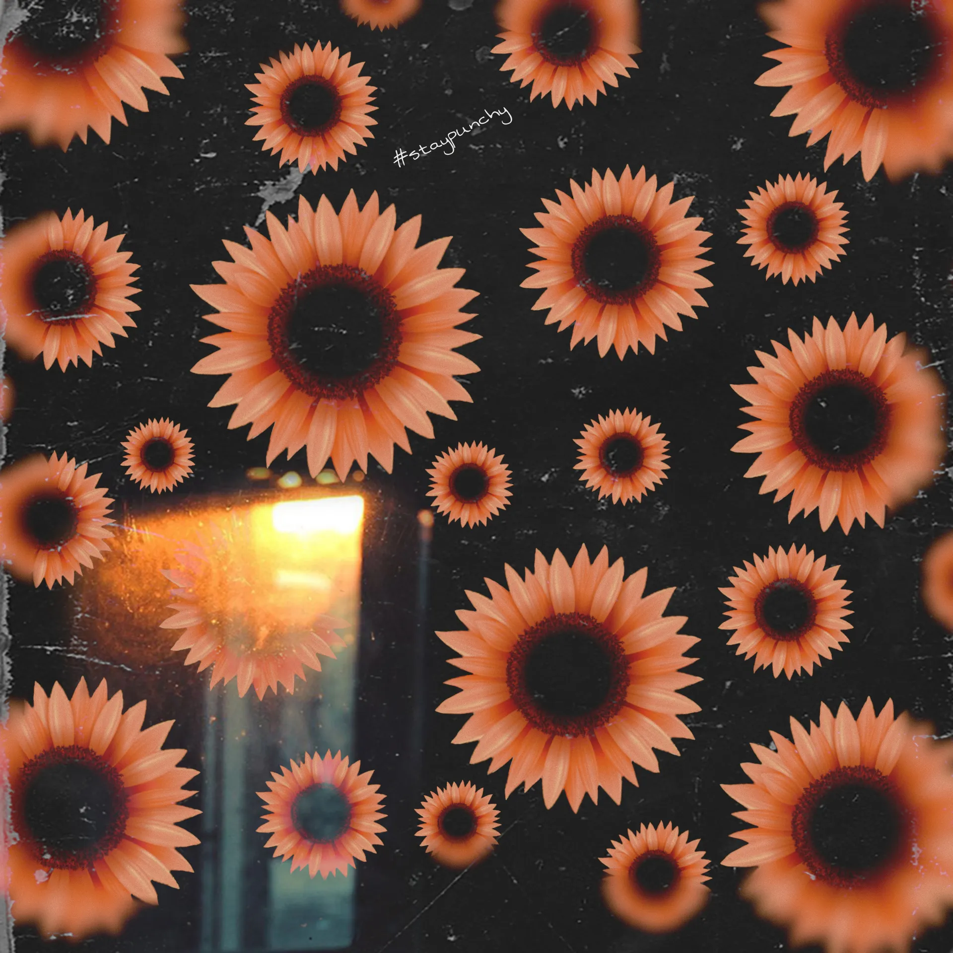 sammi 🌻 OnlyFans header