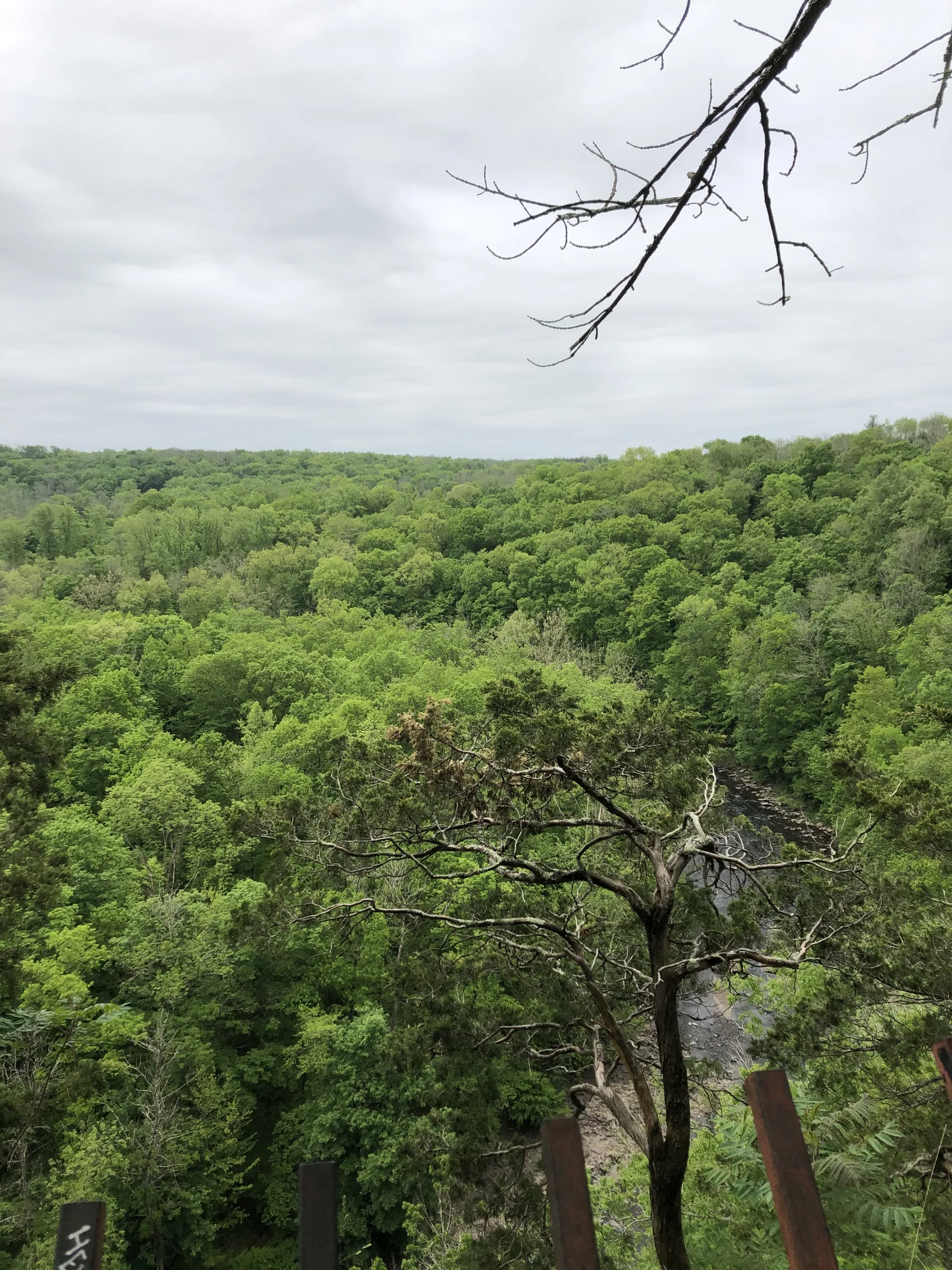 xPancakexX OnlyFans header