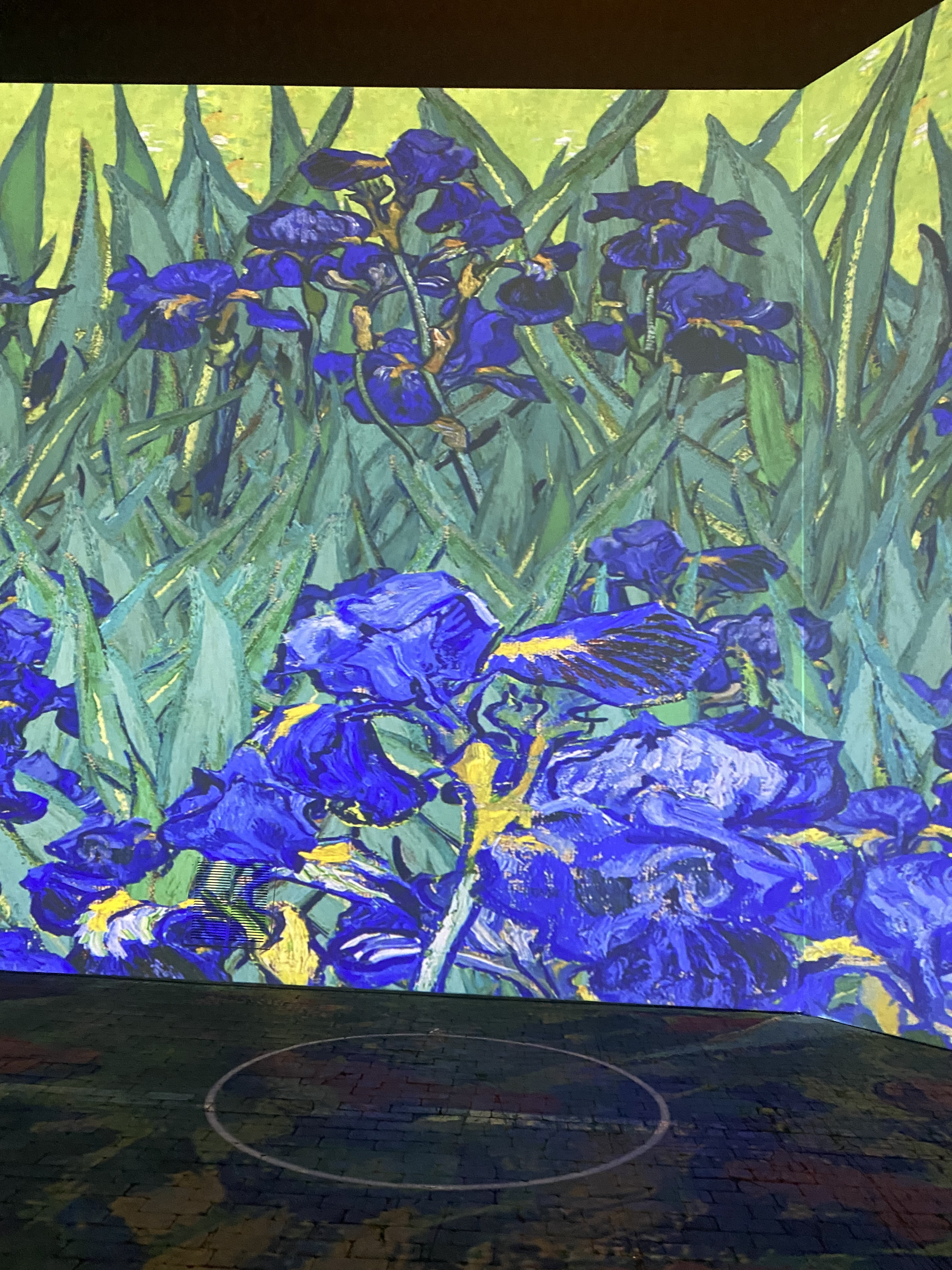 Persian Prince OnlyFans header