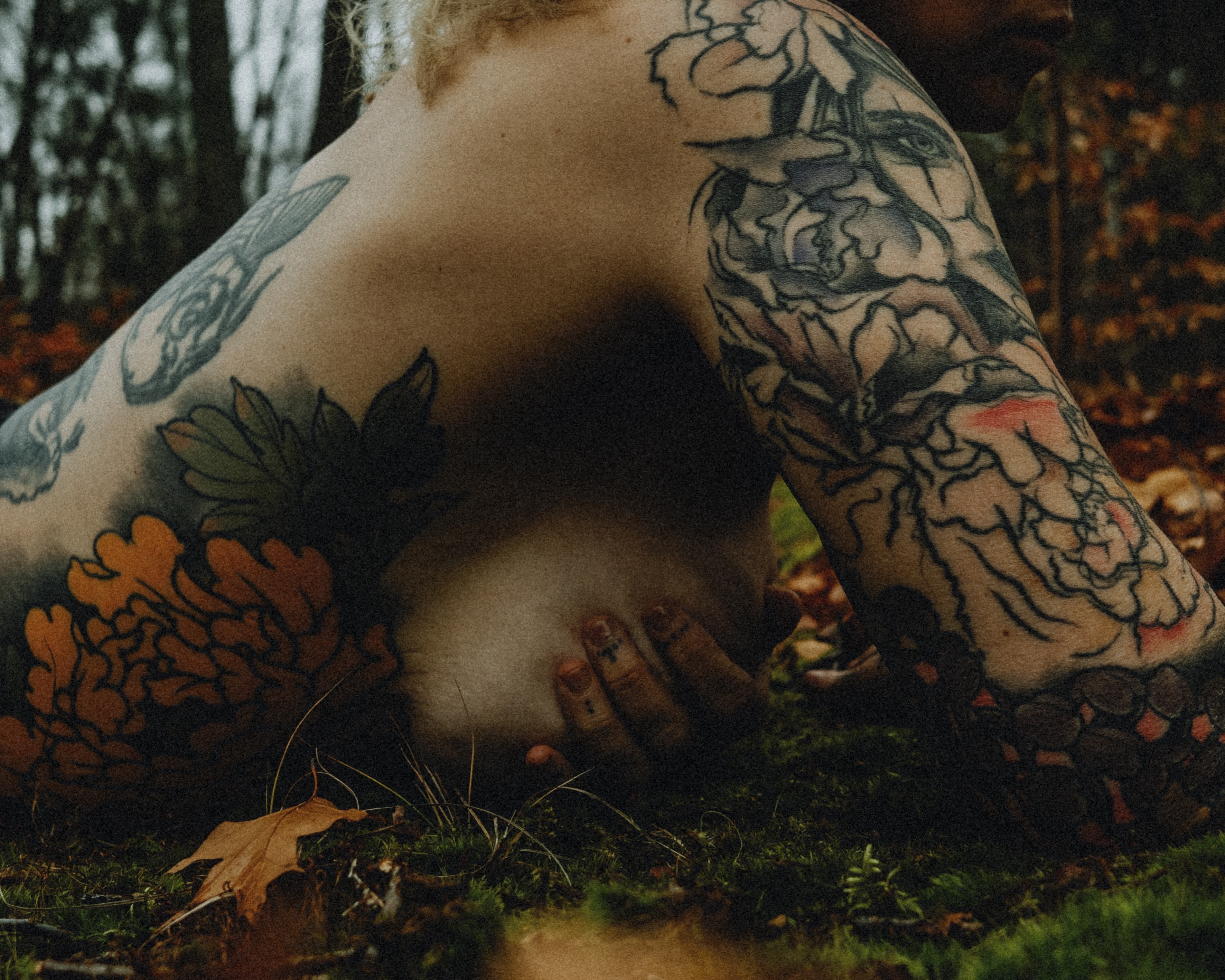 Pixielite ✨ OnlyFans header