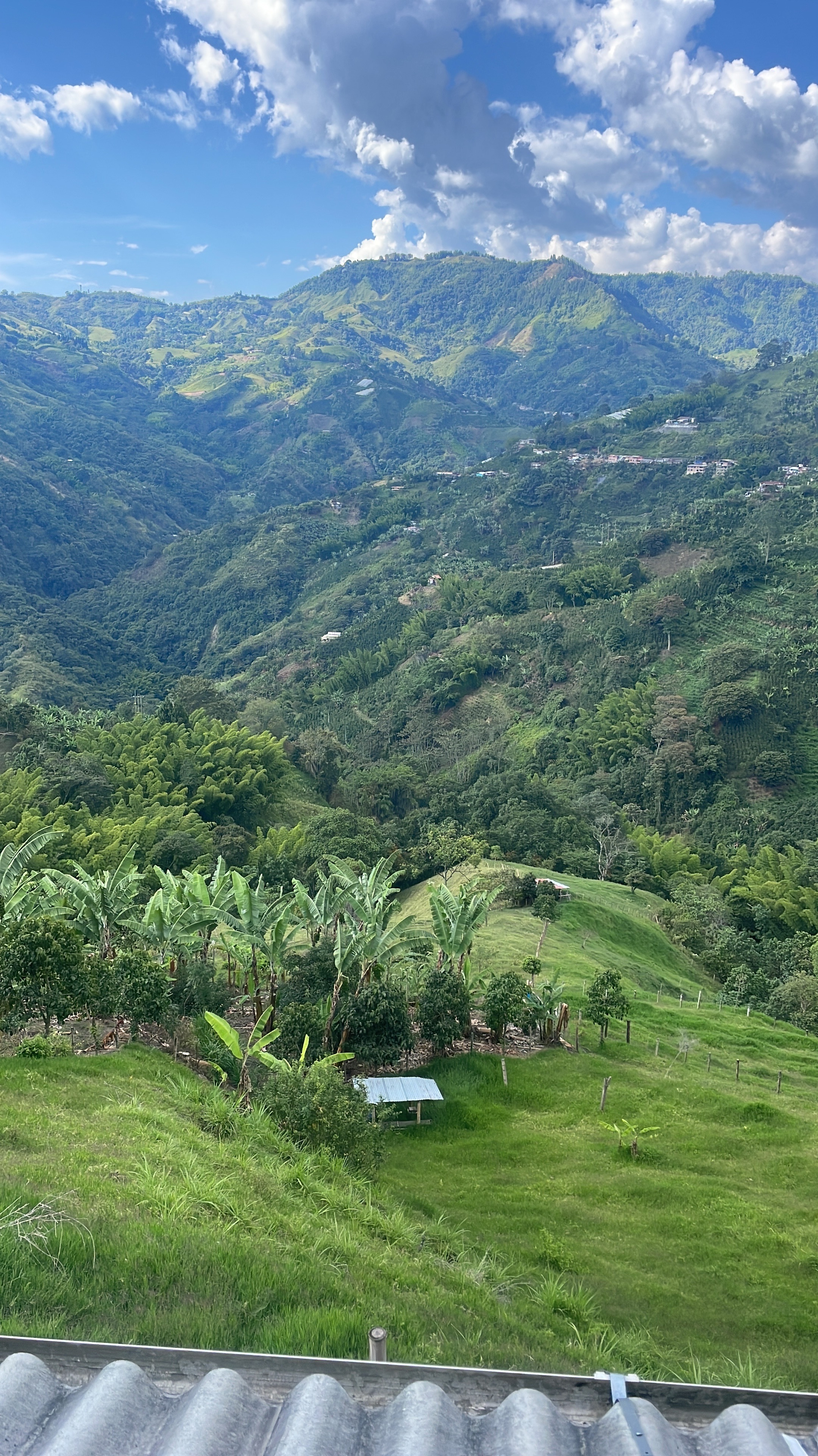 xposed_edger OnlyFans header