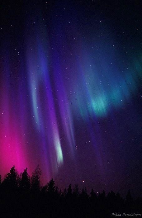 Mau Frost OnlyFans header