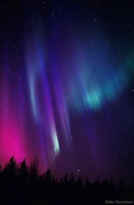 Mau Frost OnlyFans header