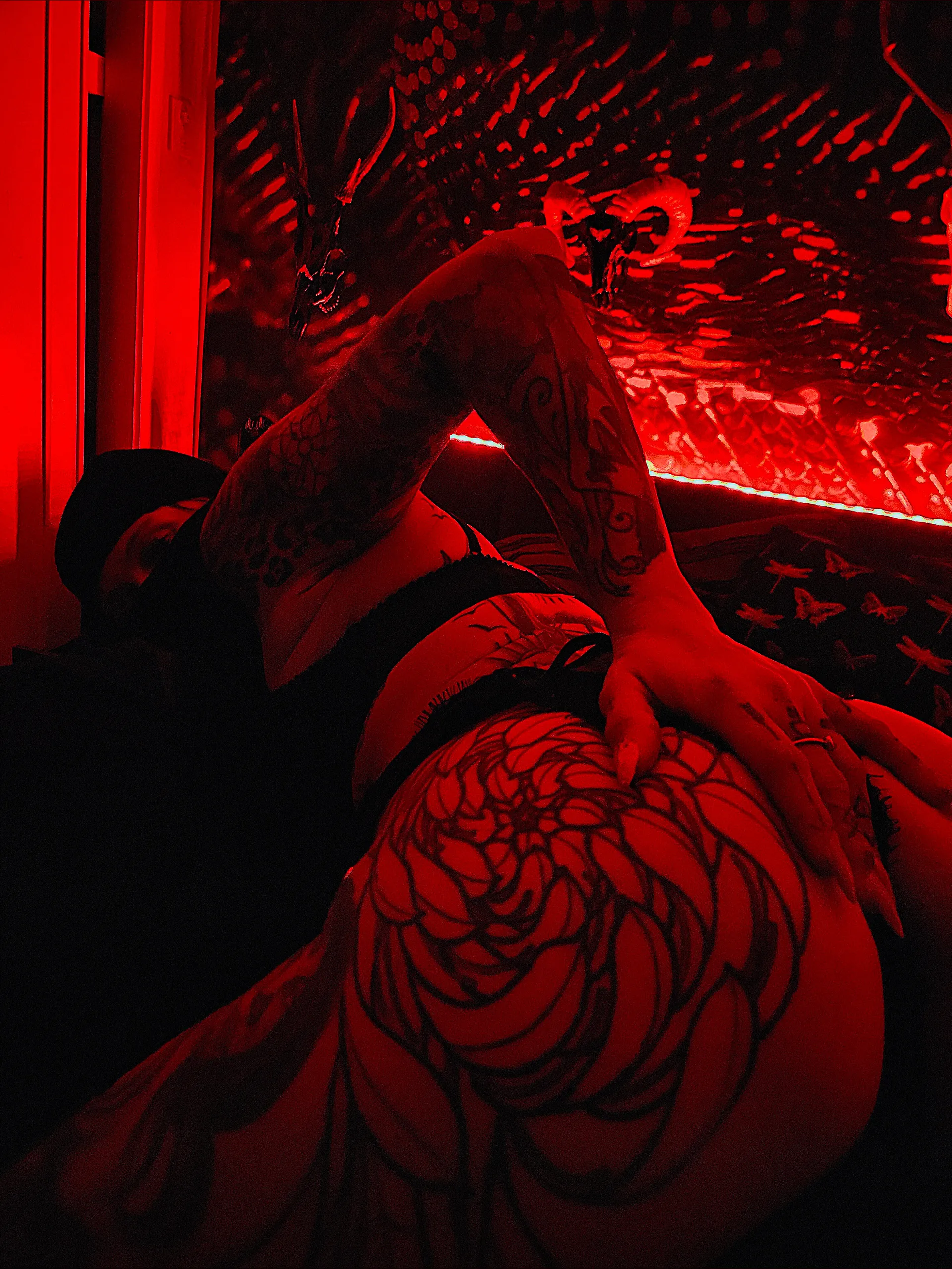 𝔁𝓹𝓹𝓮𝓪𝓬𝓱 OnlyFans header