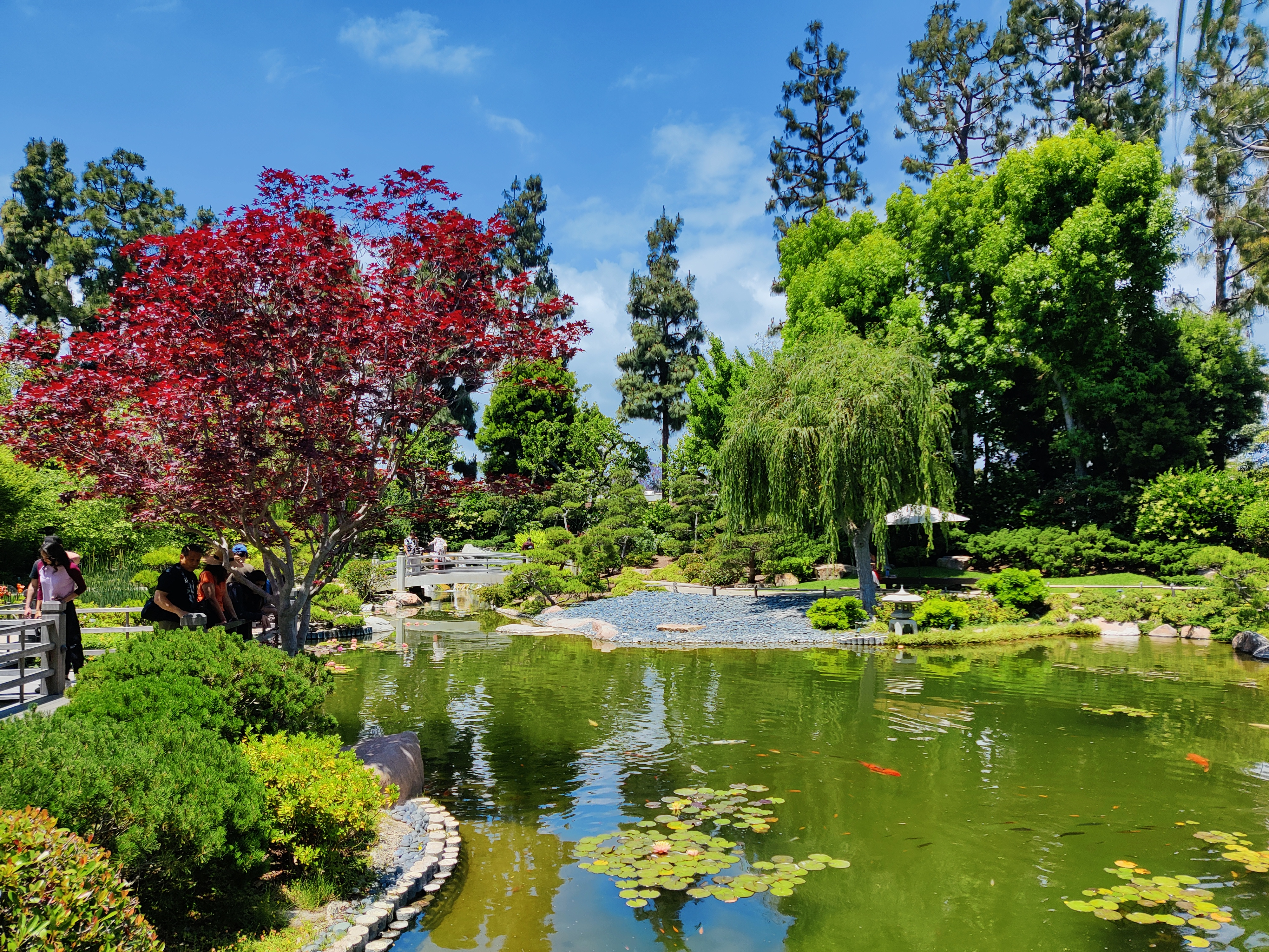 Ginger Twunk OnlyFans header