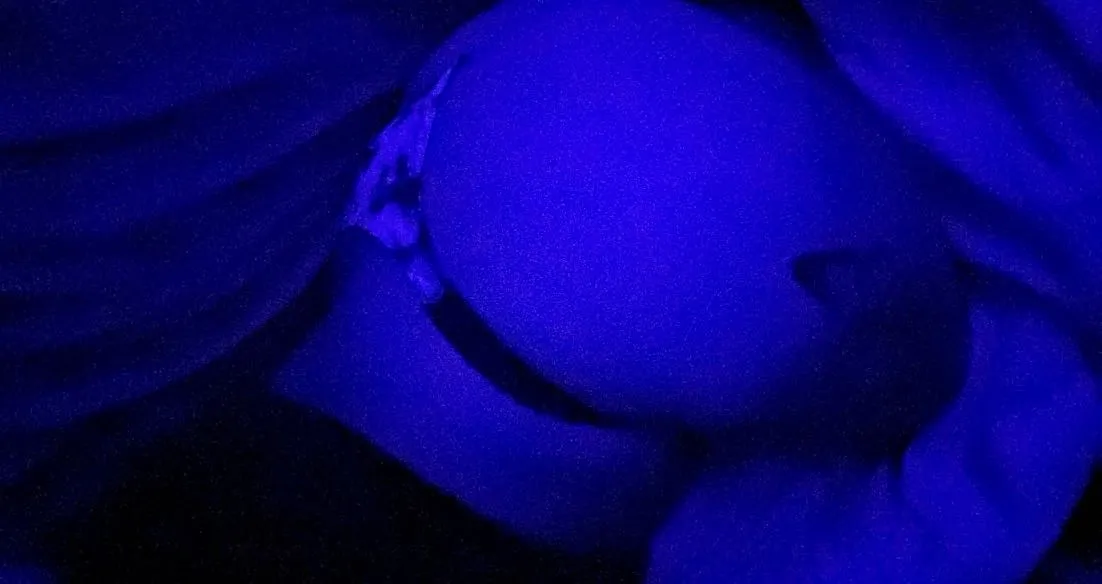 XRatedCurves OnlyFans header