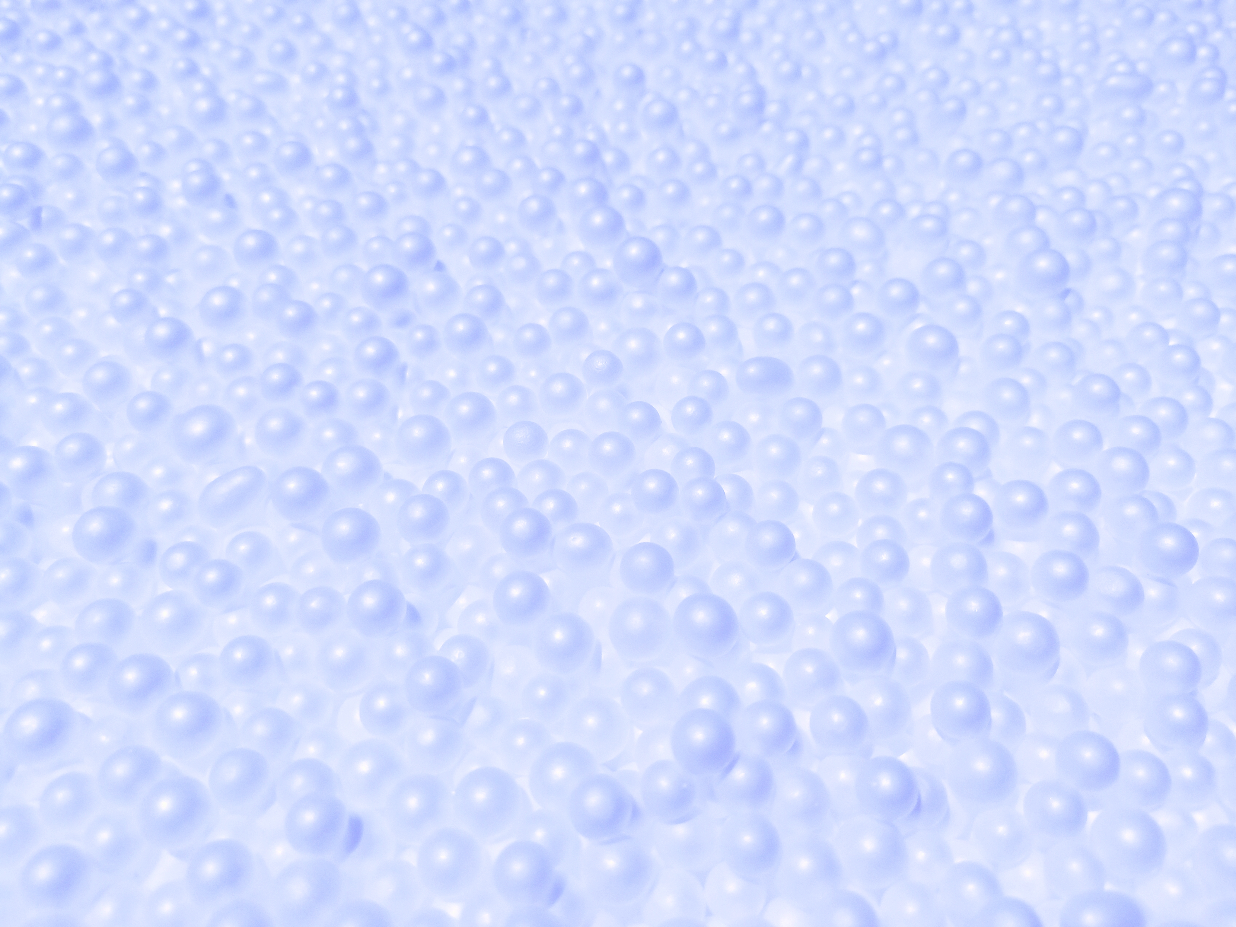 W$!1 OnlyFans header