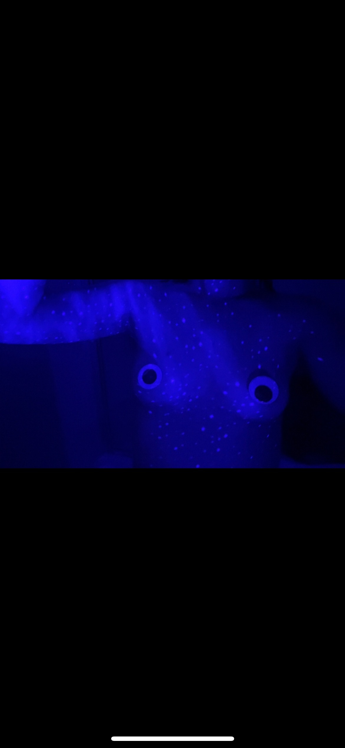 xxxreallyreillyxxx OnlyFans header