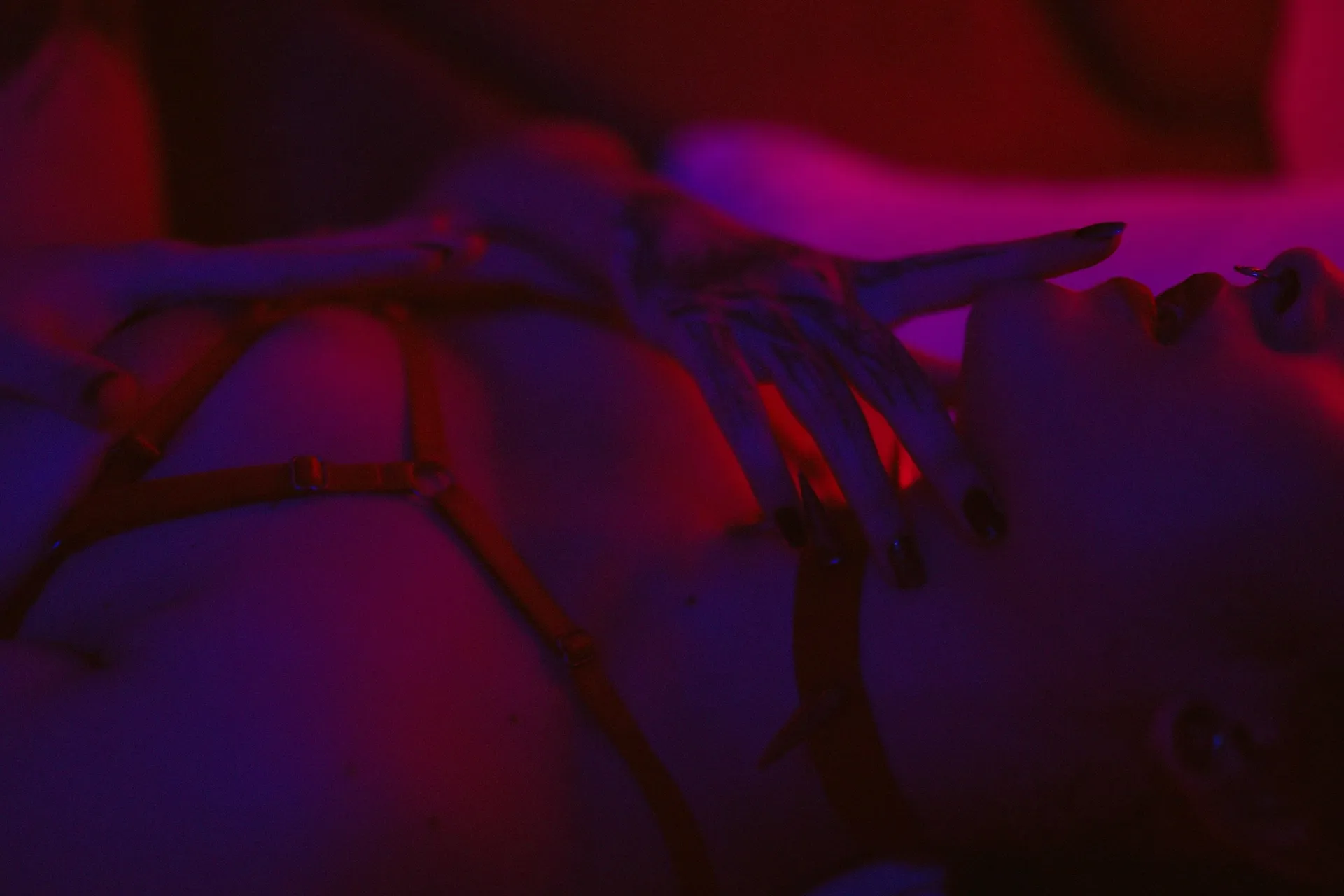 Miss Kitty OnlyFans header