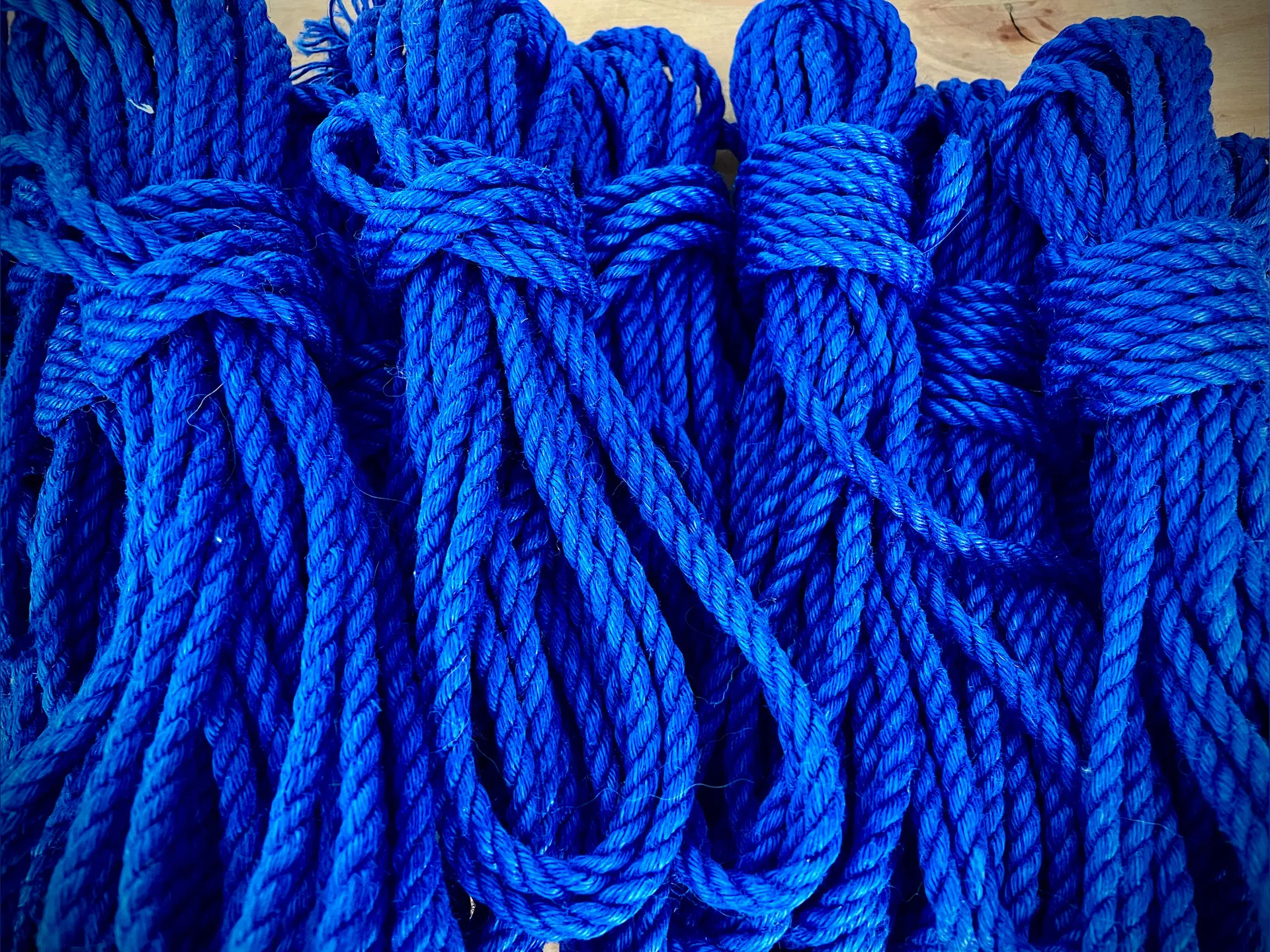 RIPTIDE OnlyFans header