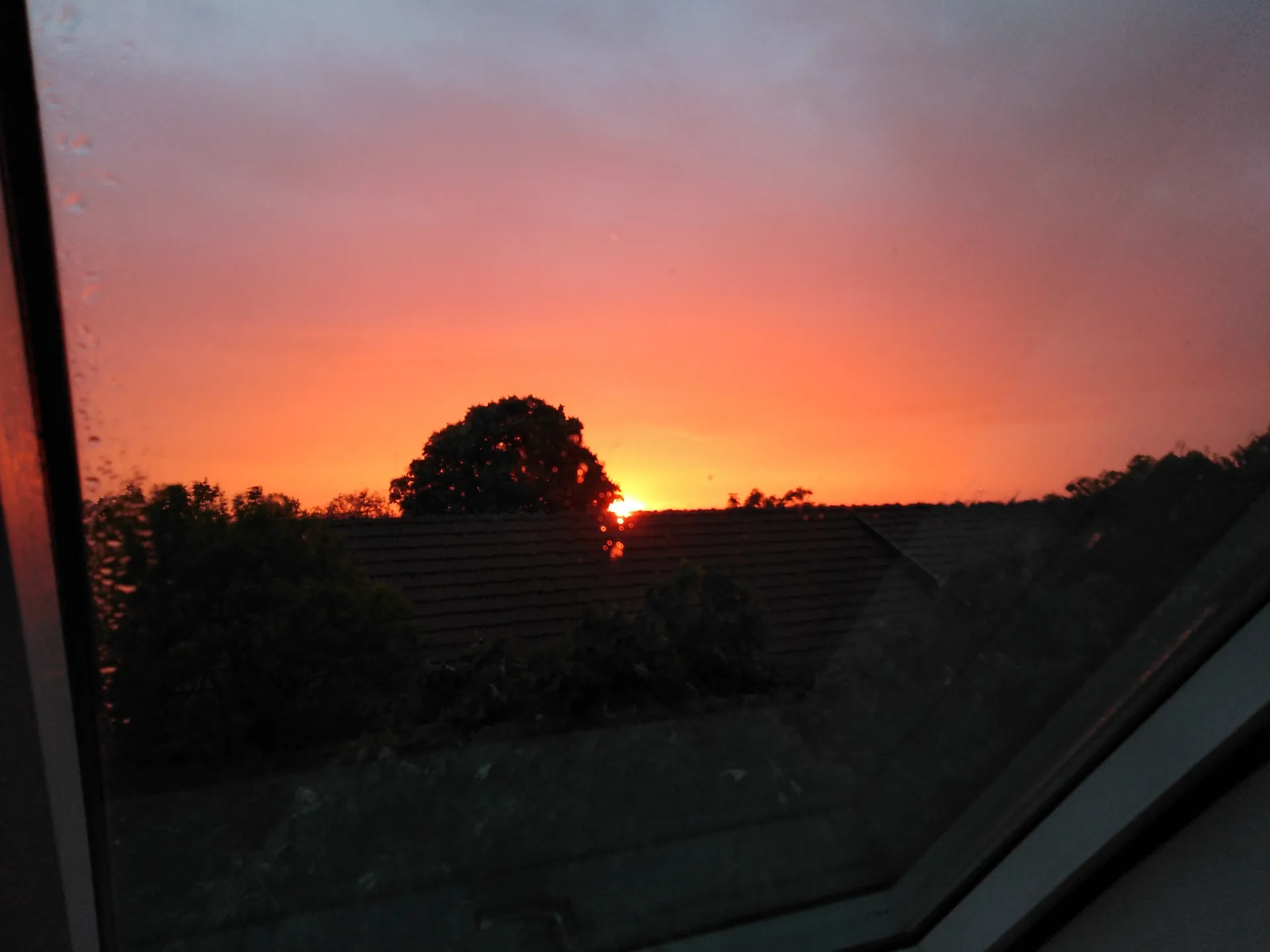 xScarlettxo OnlyFans header