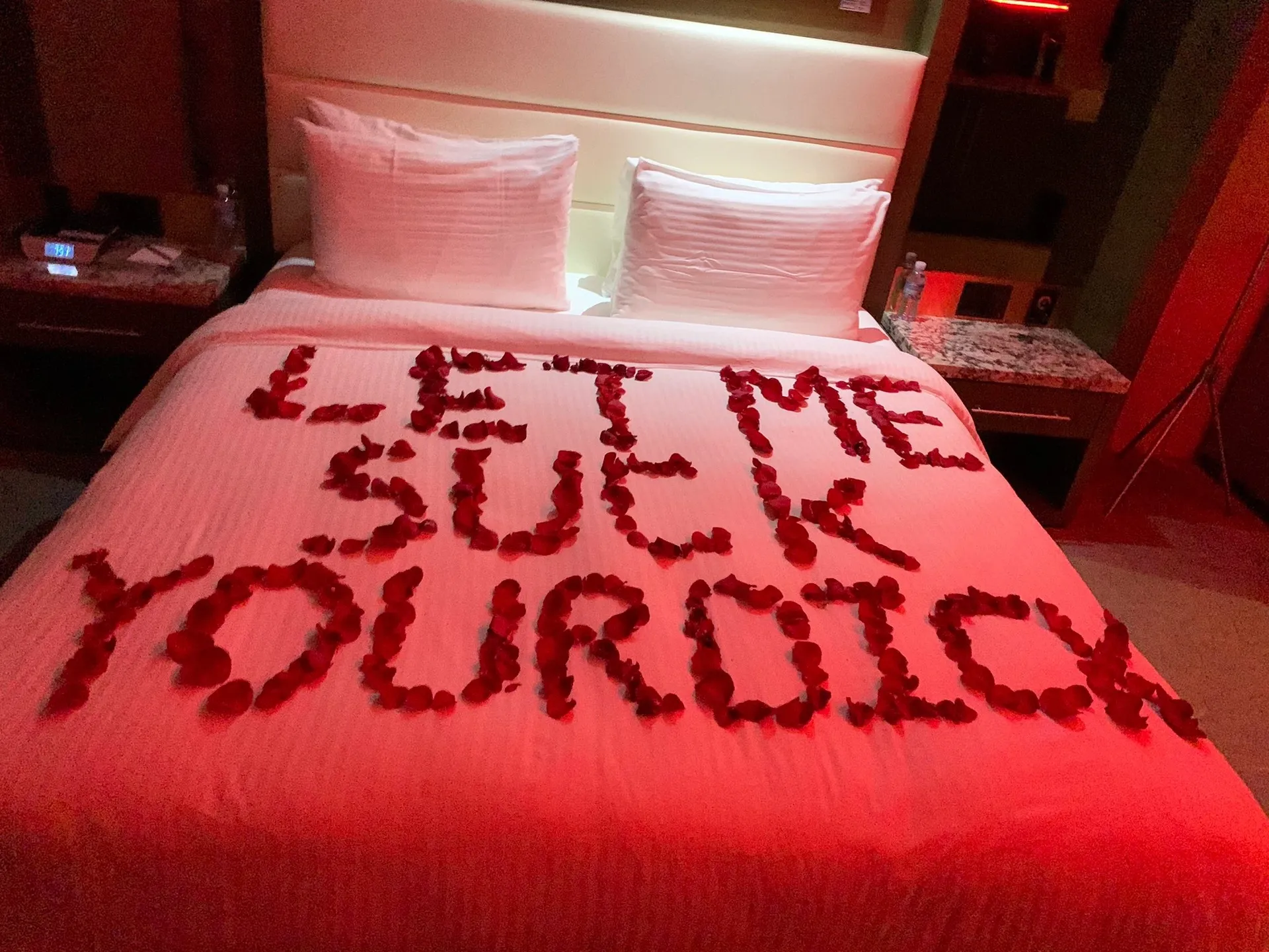 her ✨ OnlyFans header