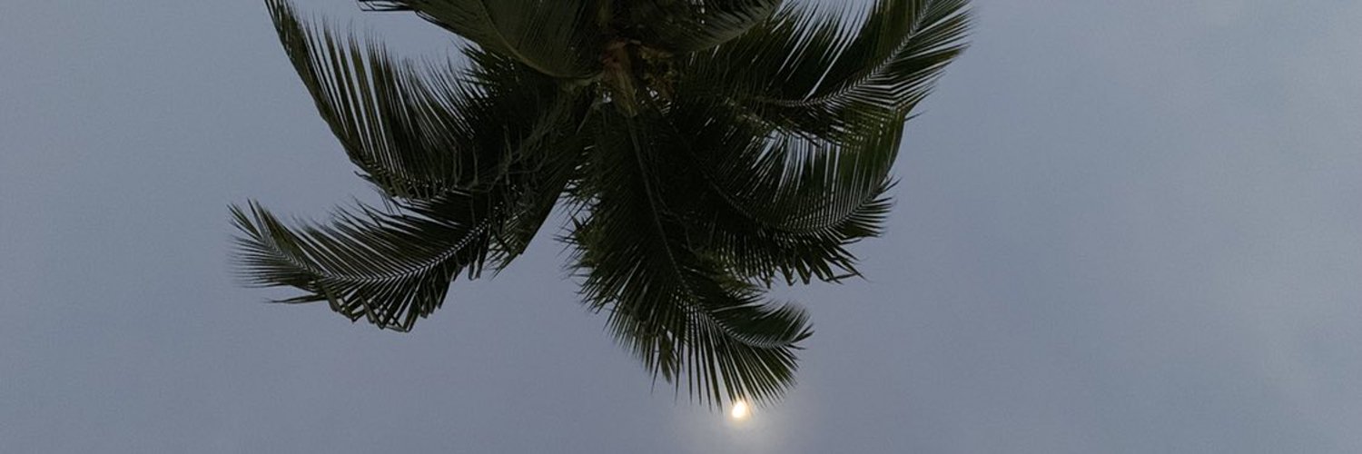 Sleepy OnlyFans header