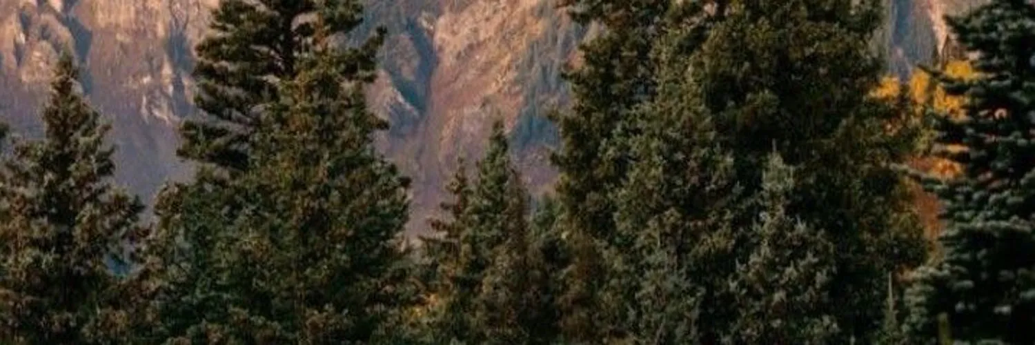 Javi OnlyFans header