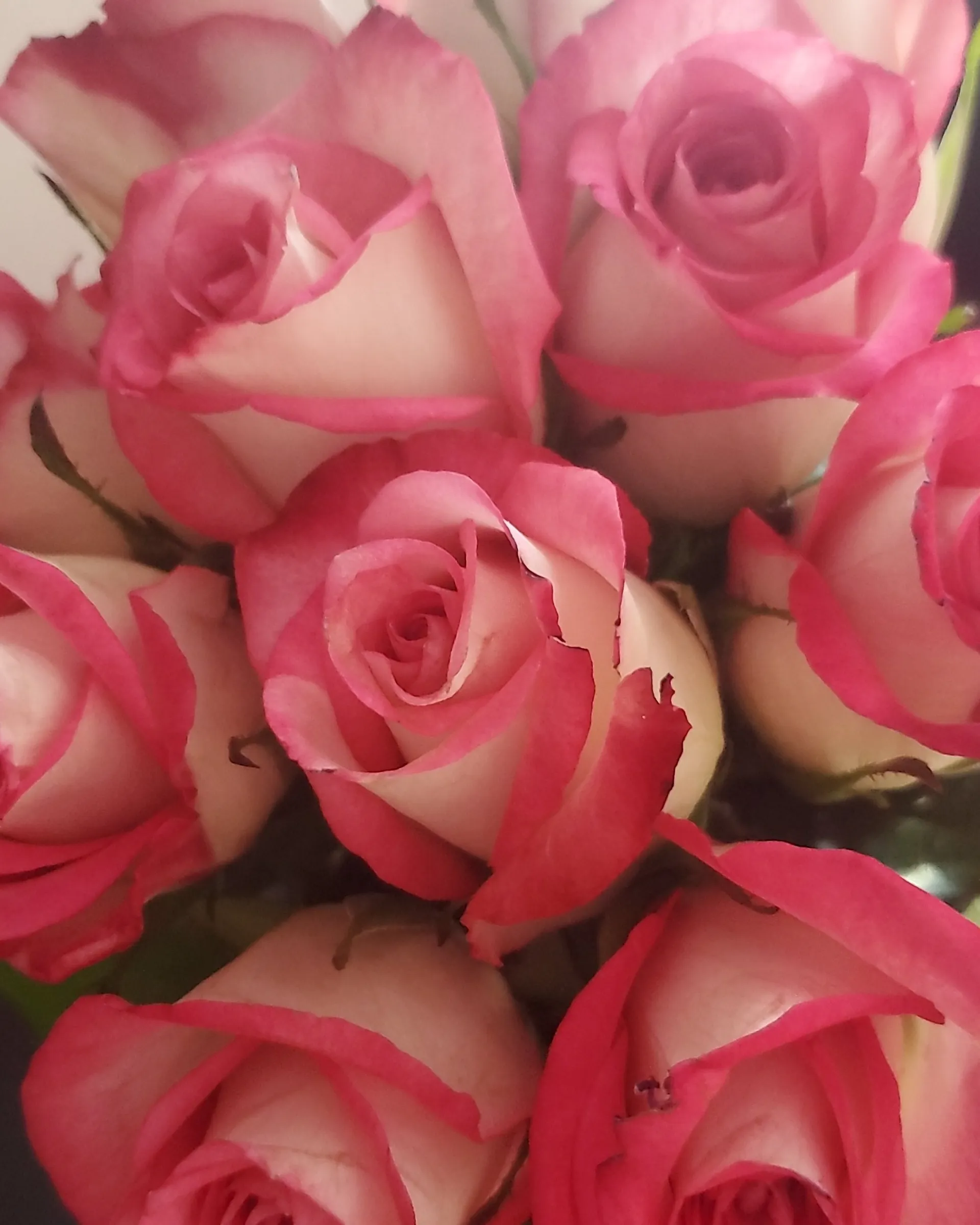 Eryn OnlyFans header