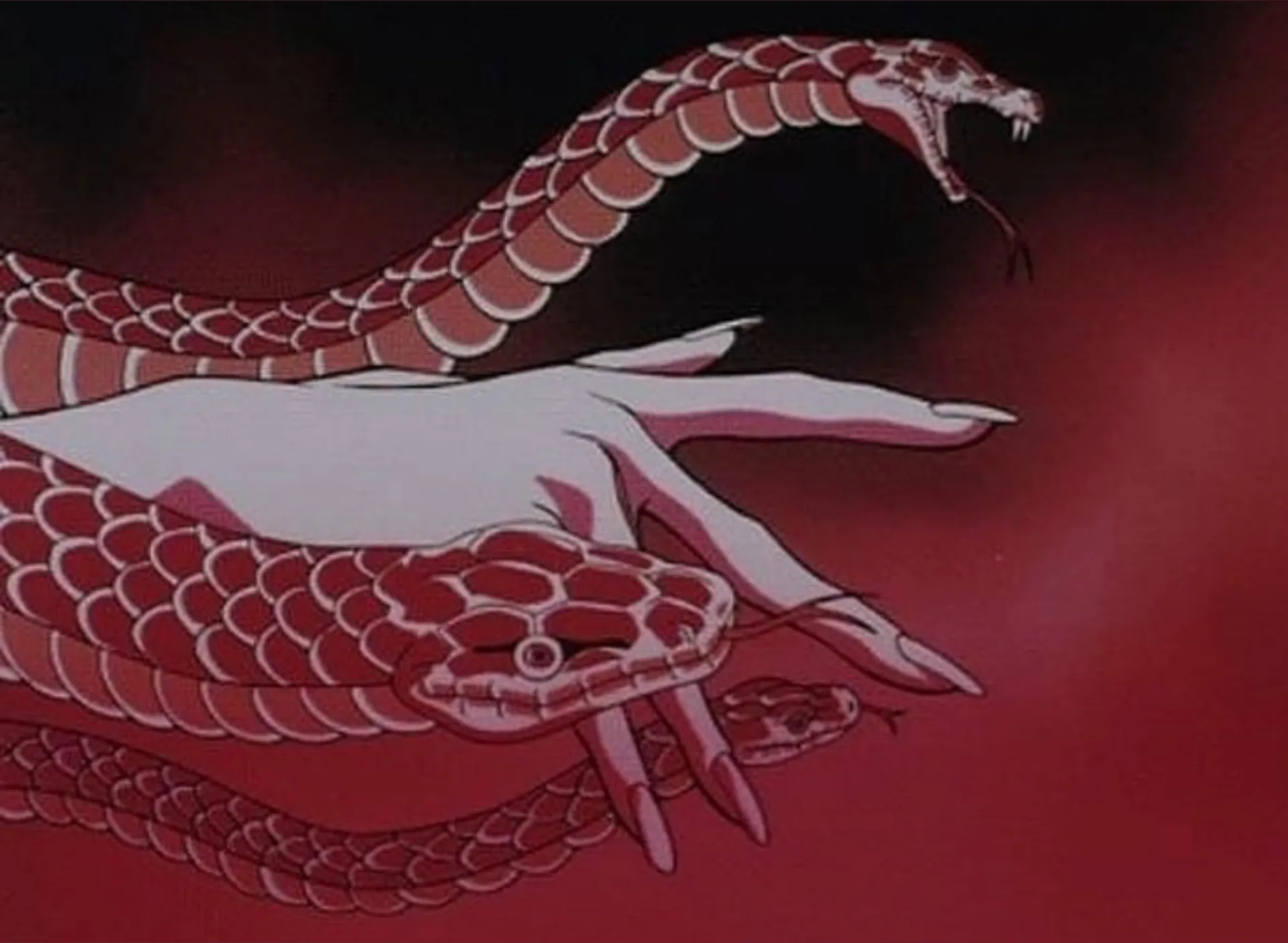 Nova 🕸️🍒 OnlyFans header