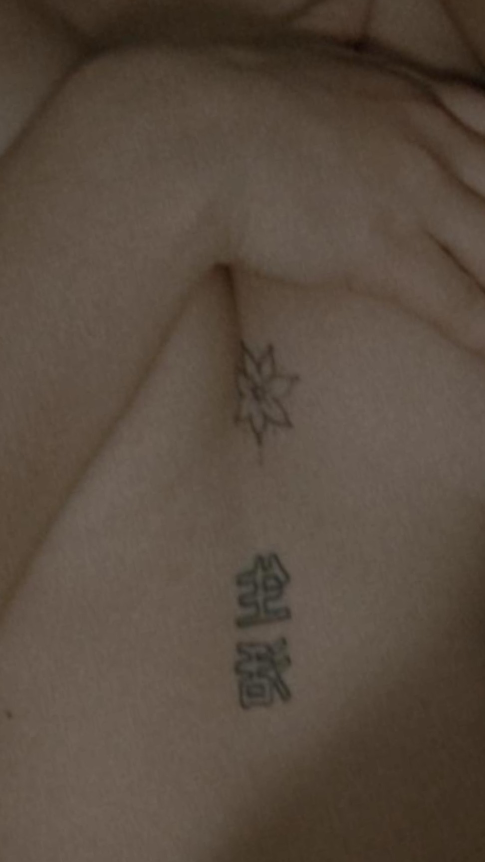 Sweet orange 🔥🔥 OnlyFans header