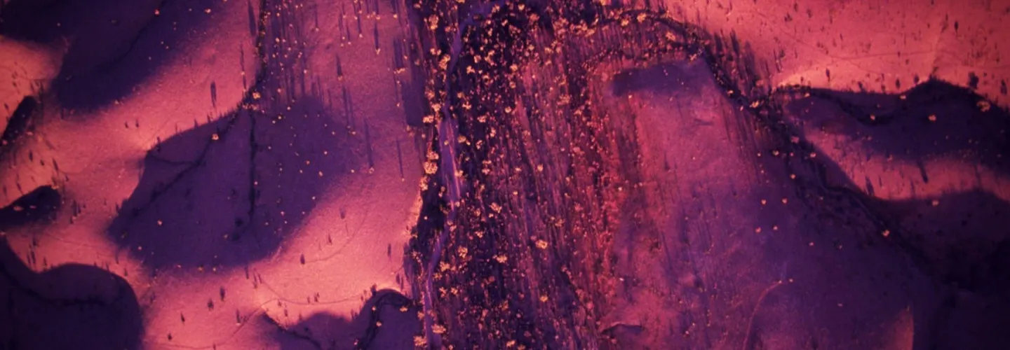 Sweet Tea OnlyFans header