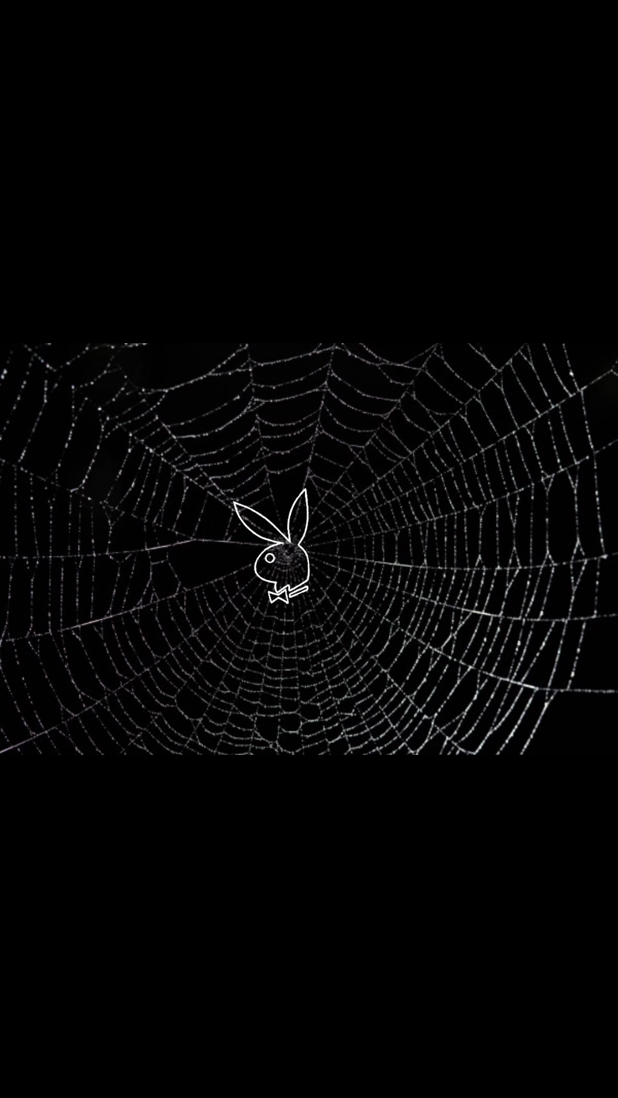 Tayler OnlyFans header