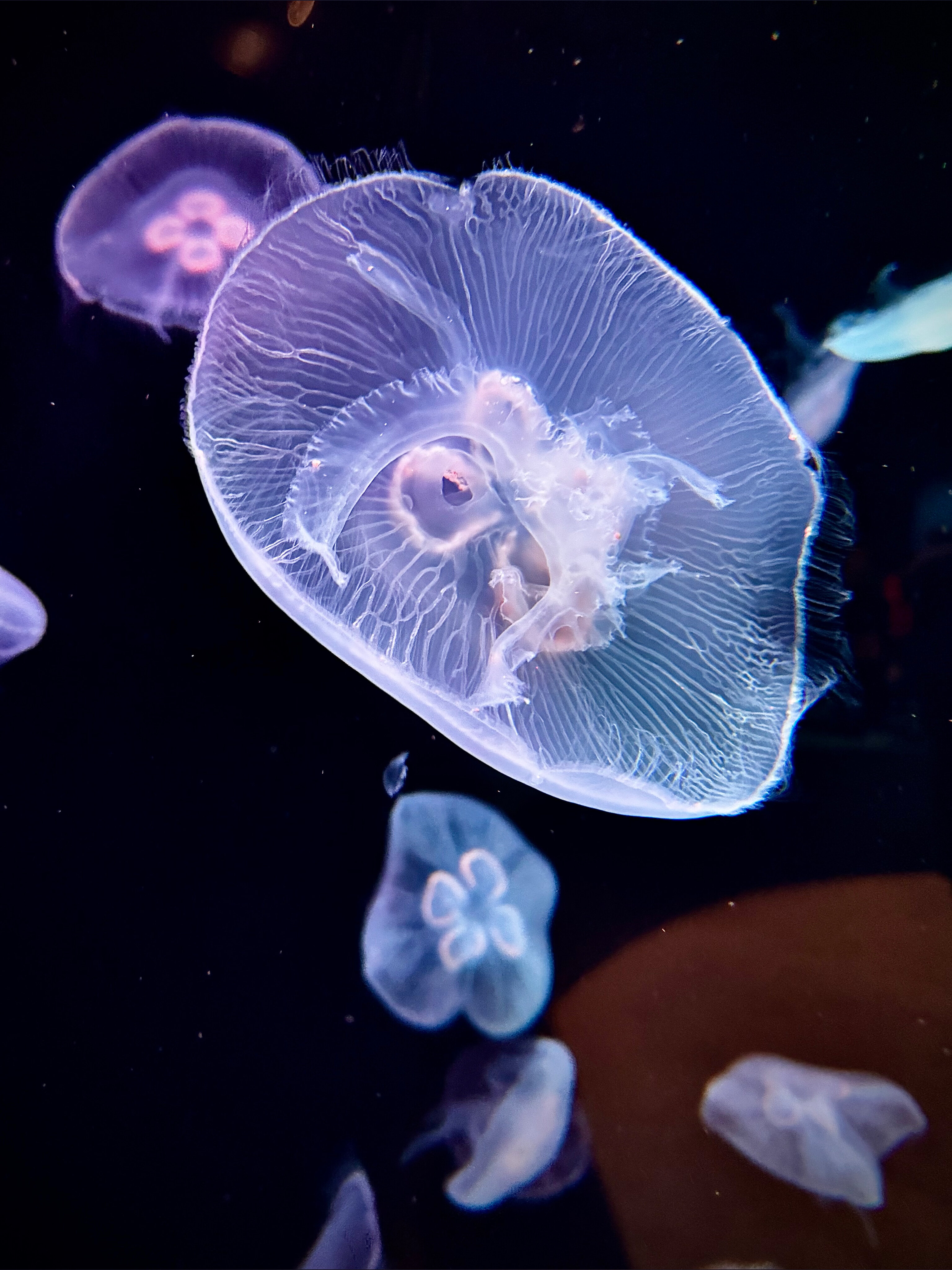 Taylor Scott OnlyFans header