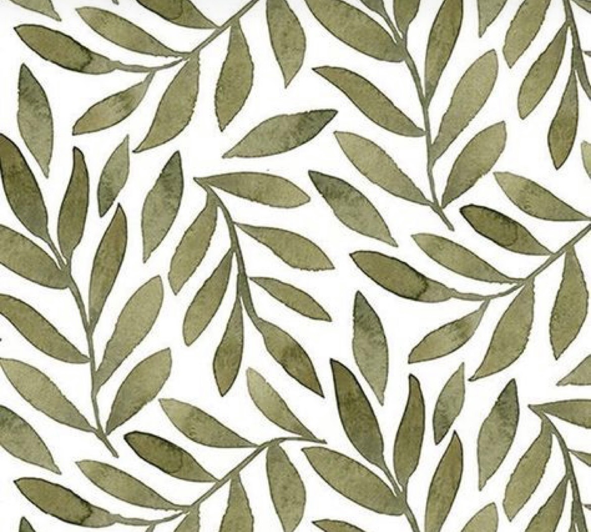 T🤍 OnlyFans header